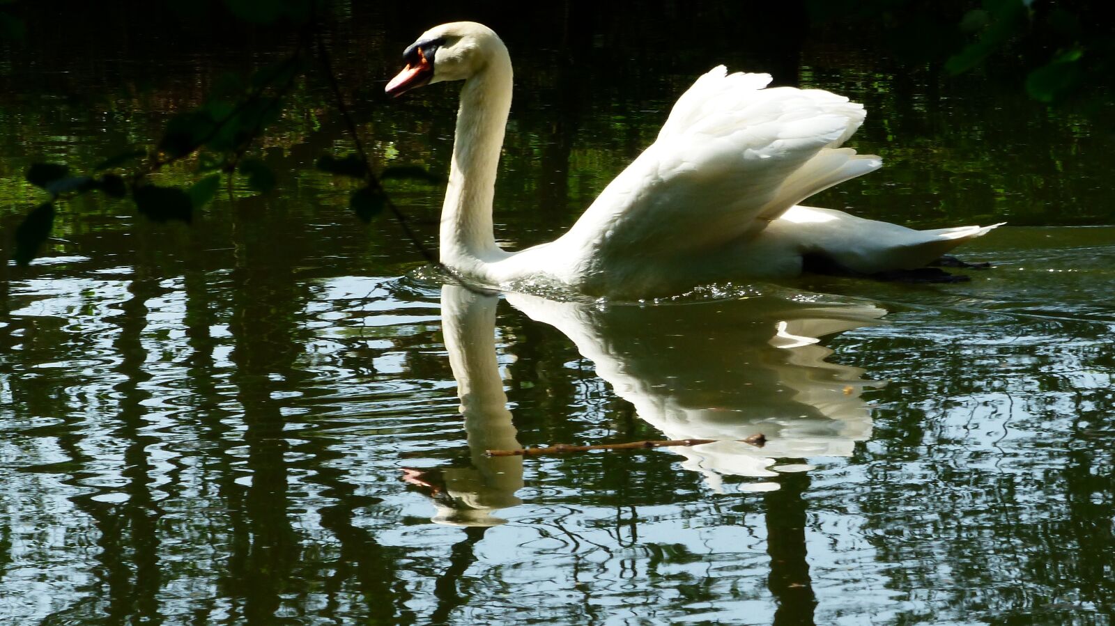 Panasonic Lumix DMC-FZ200 sample photo. Body of water, nature photography
