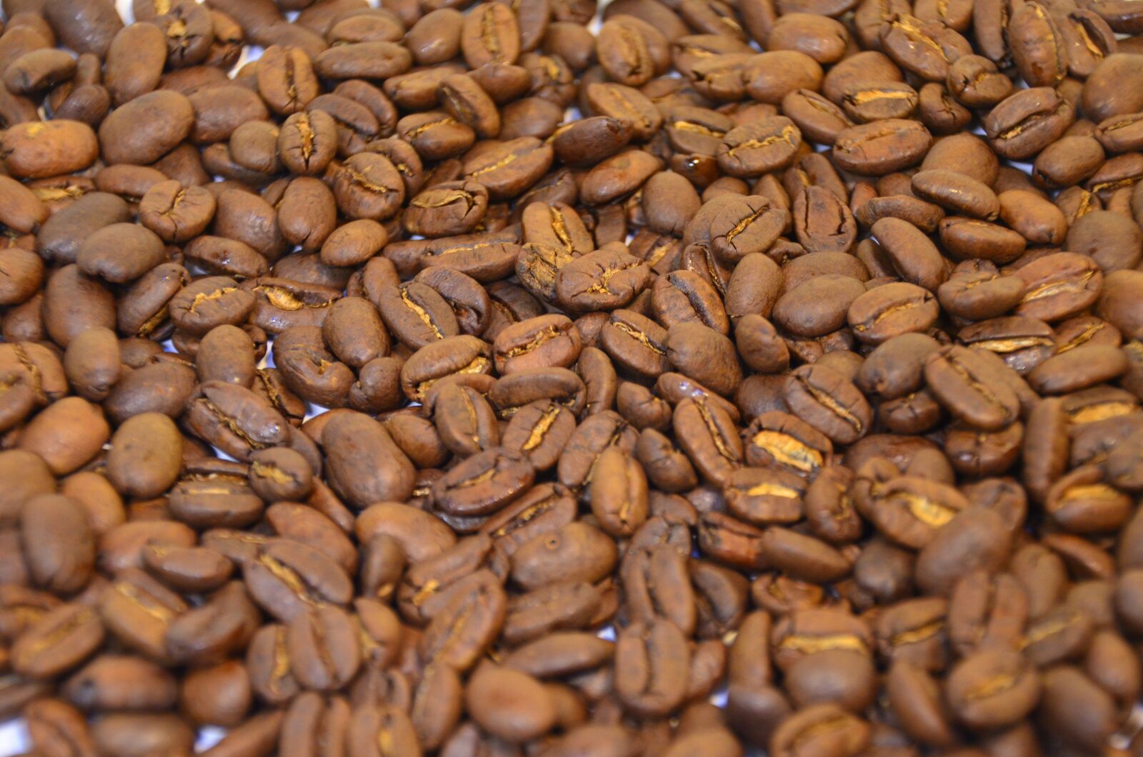 Nikon D5100 sample photo. Coffee beans, background, beans photography
