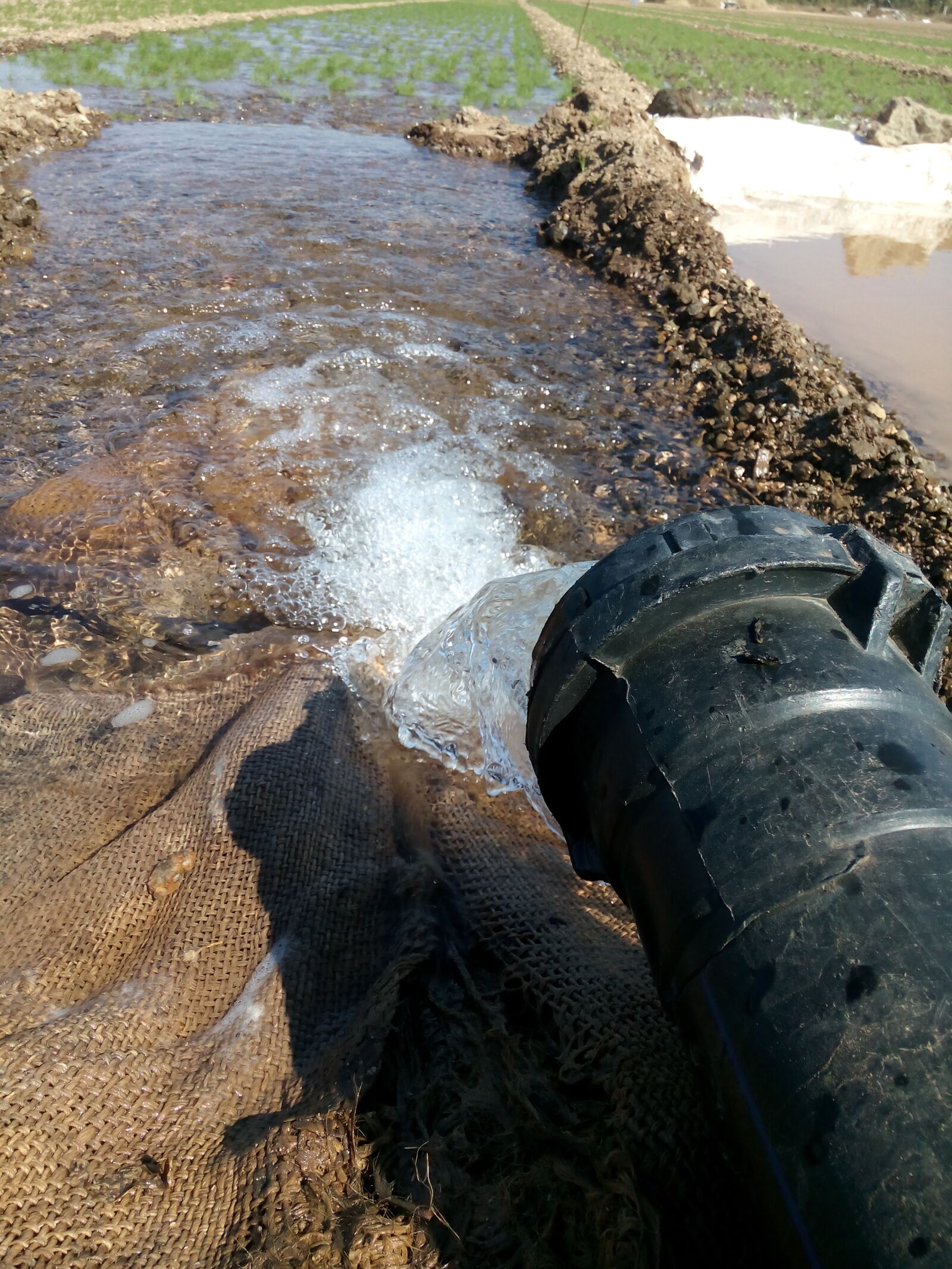 Micromax Canvas Spark sample photo. Water photography