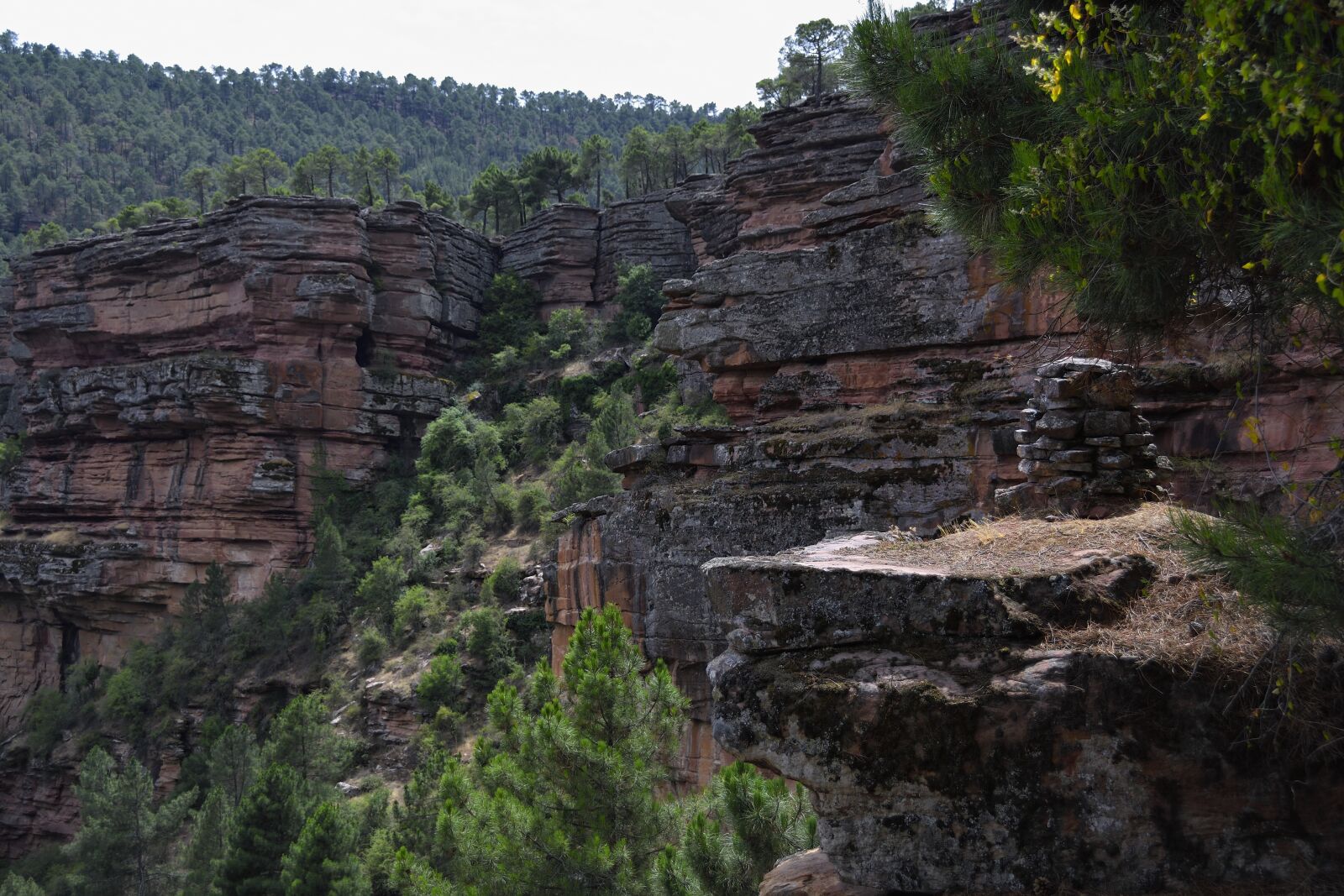 Nikon D500 sample photo. Sickle, cannon, rocks photography