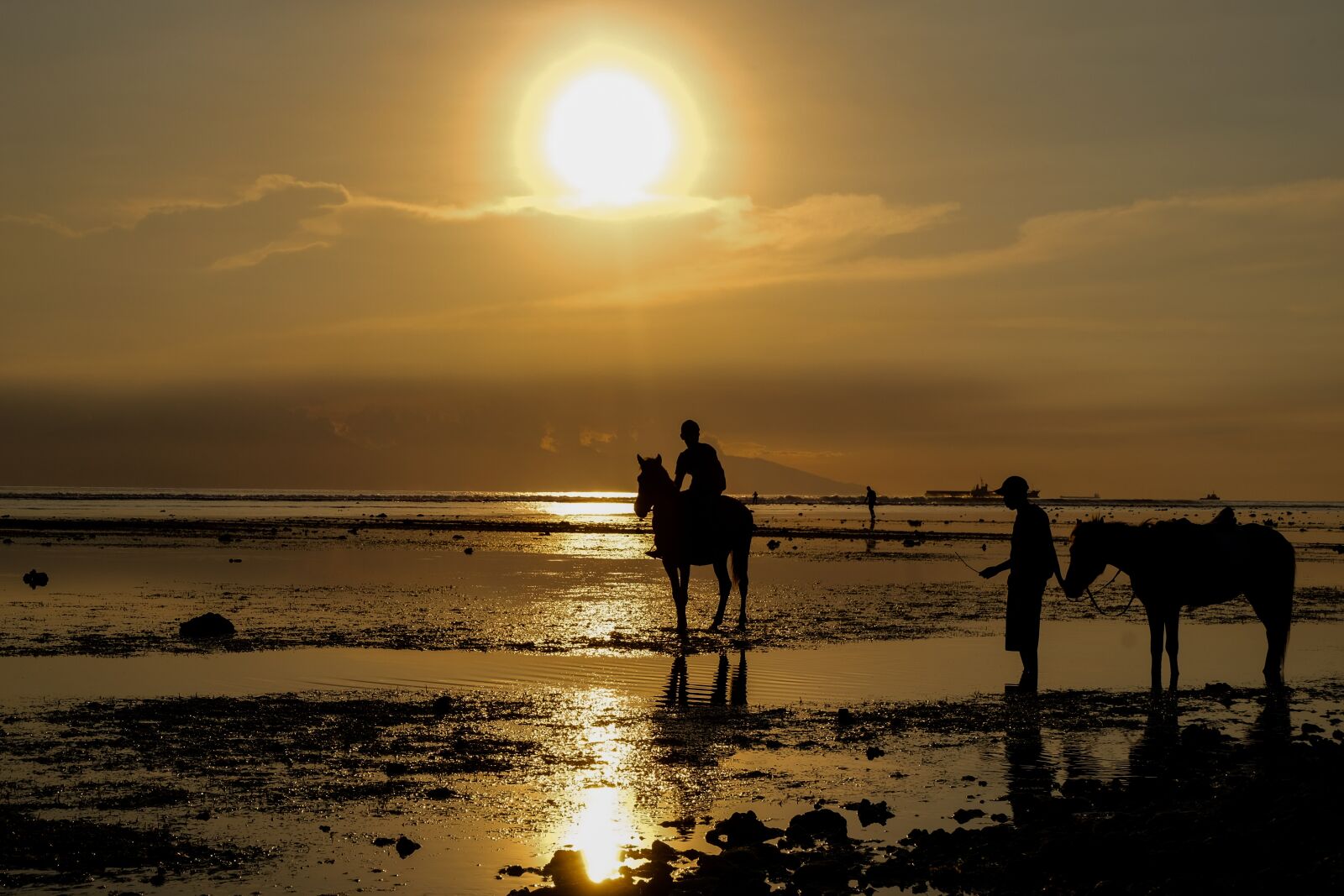 Fujifilm X-T10 + Fujifilm XC 16-50mm F3.5-5.6 OIS II sample photo. Horse, sunset, silhouette photography