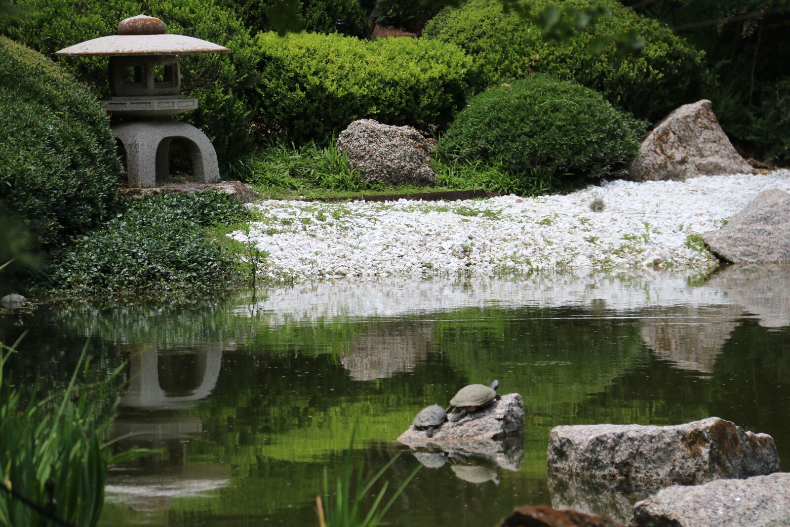 Canon EOS 750D (EOS Rebel T6i / EOS Kiss X8i) sample photo. Japanese, park, nature photography