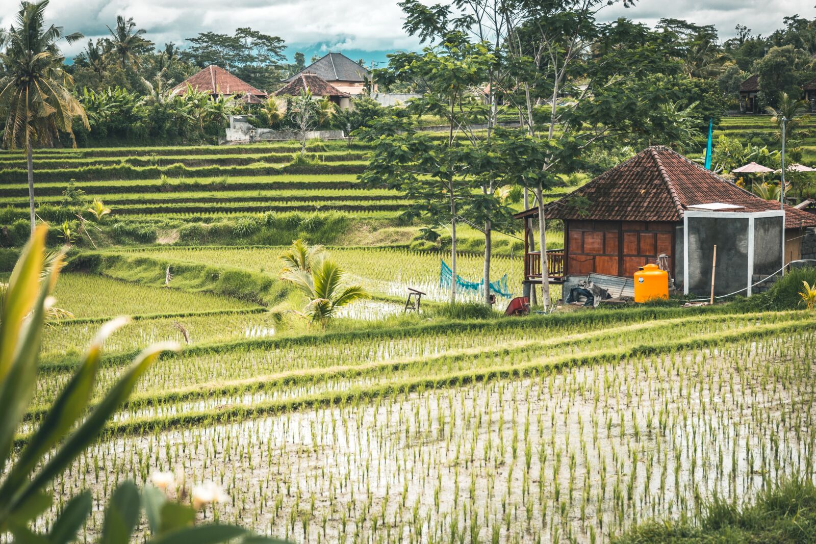 Canon EOS 6D sample photo. Bali, indonesia, asia photography