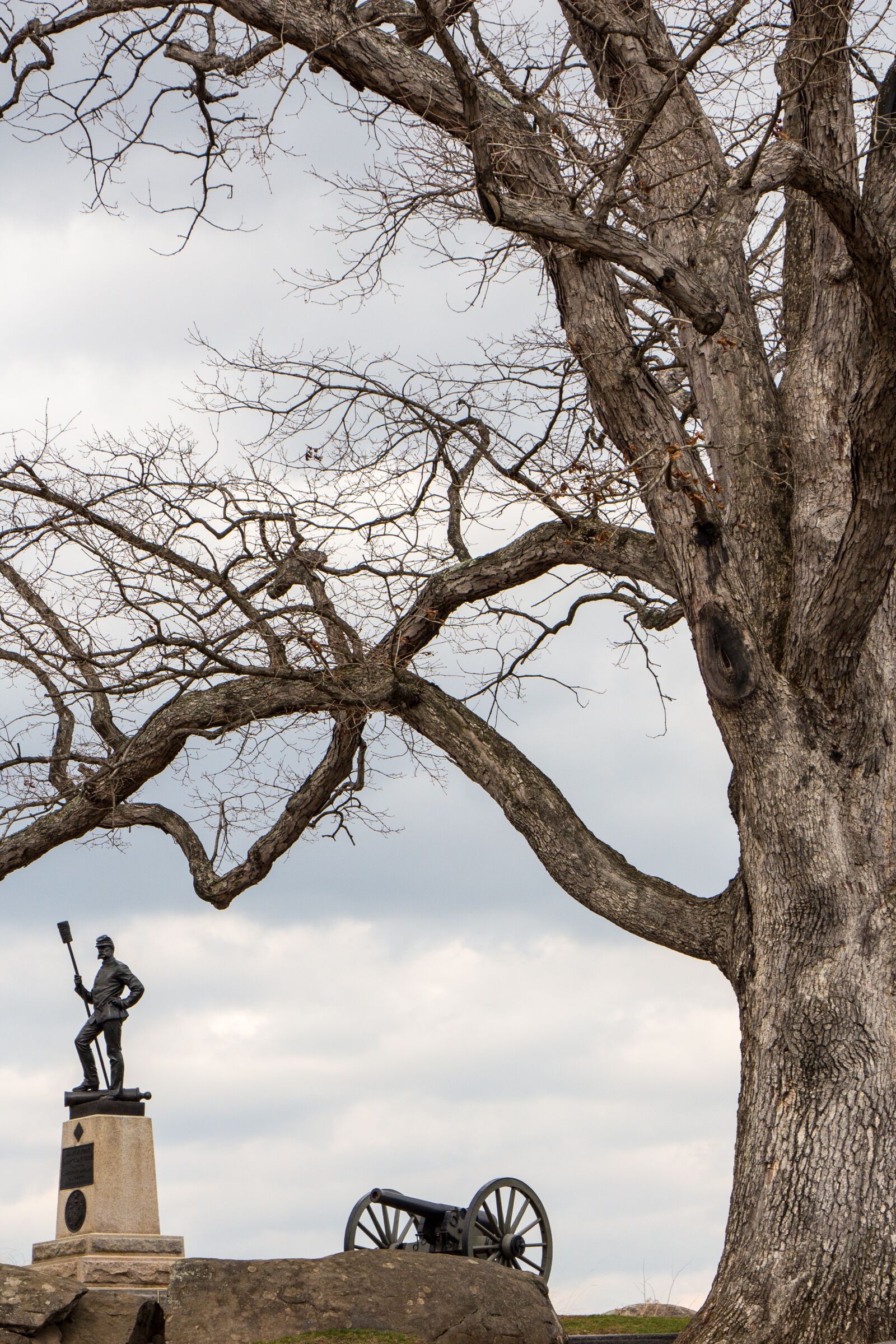 Canon EOS 650D (EOS Rebel T4i / EOS Kiss X6i) sample photo. Civil war, tree, scene photography