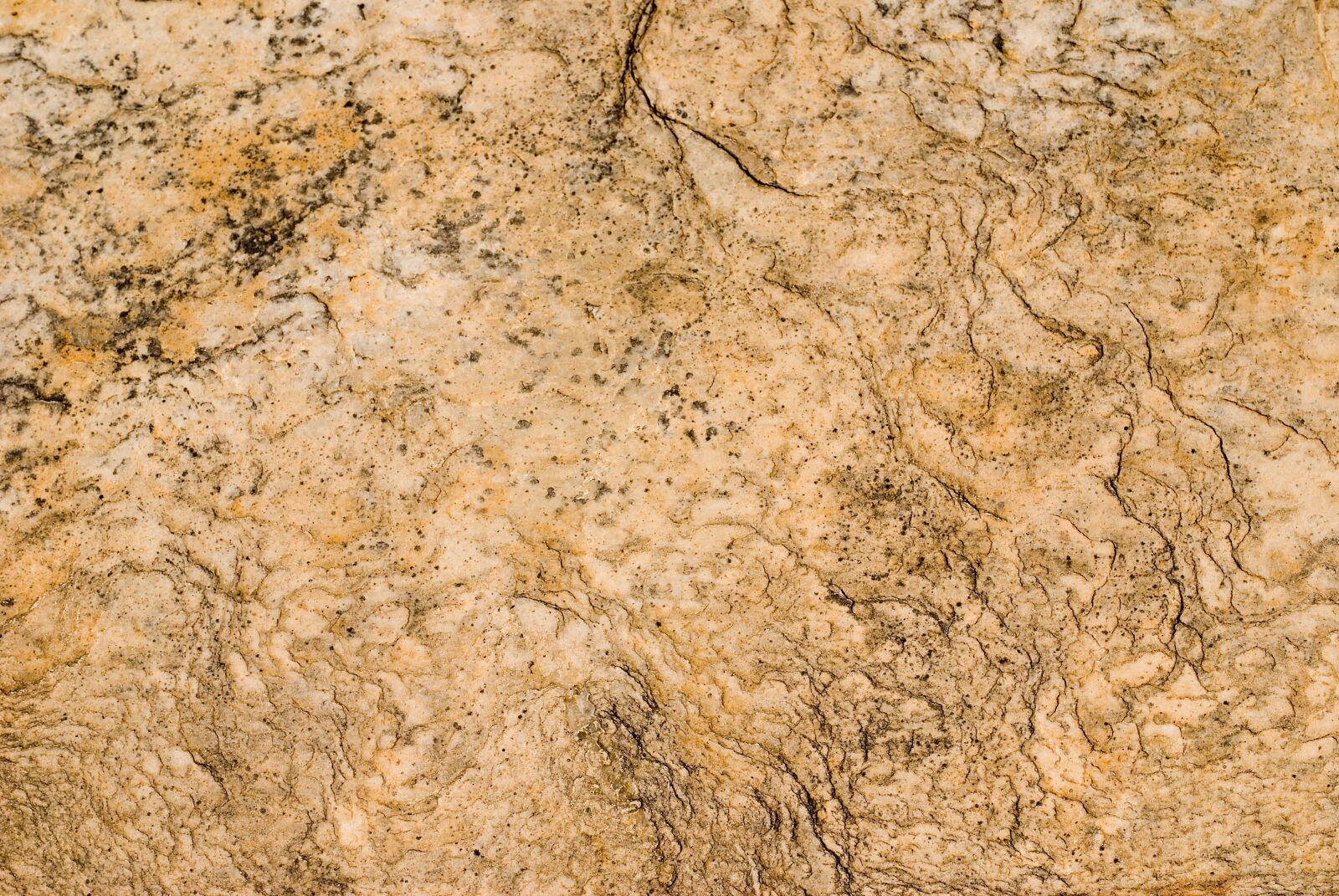 Sony Alpha DSLR-A100 sample photo. Rock, boulder, texture photography