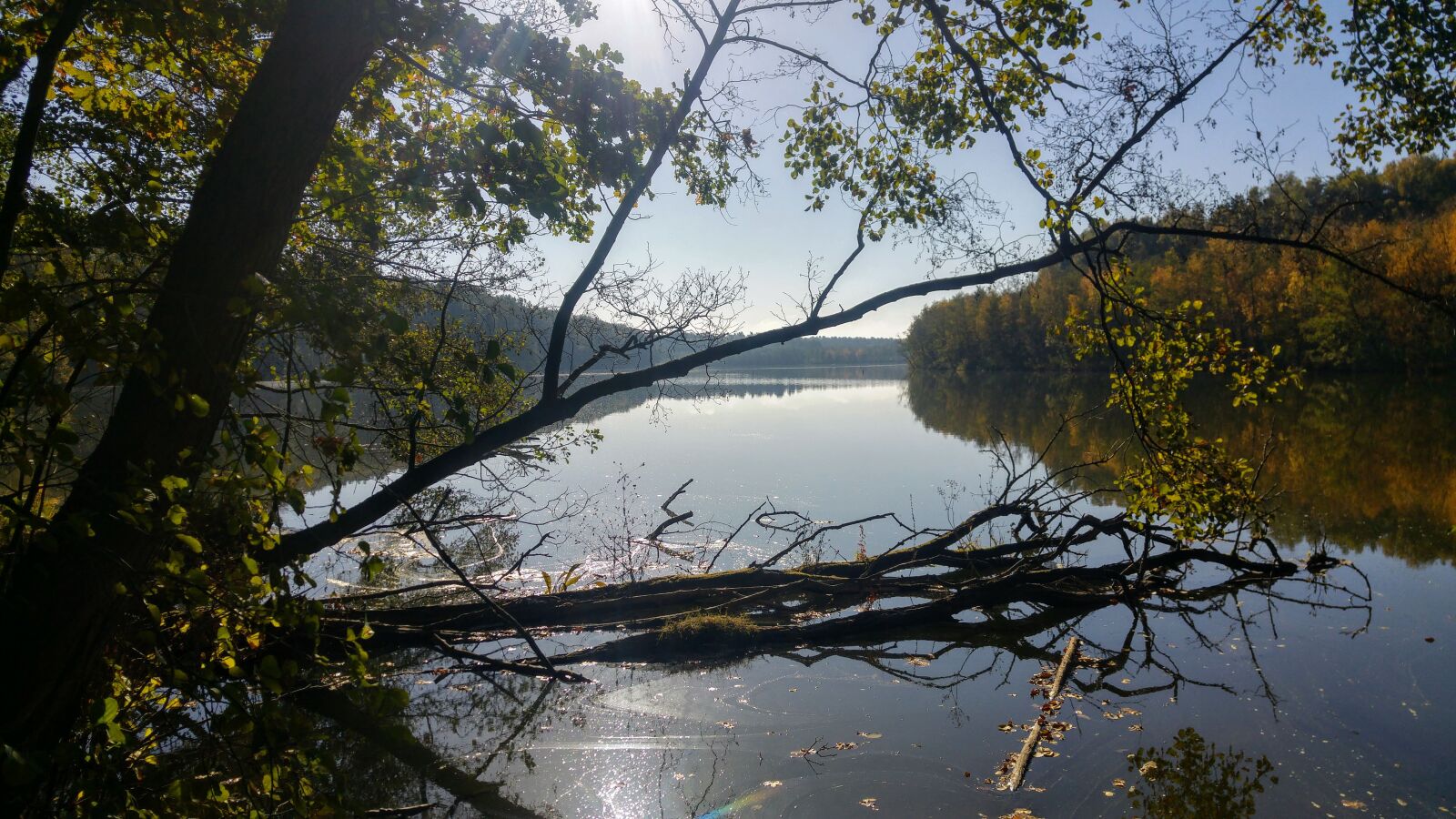 LG G4 sample photo. Germany, brandenburg, lake photography