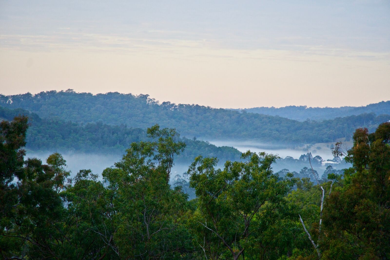 Sony E 18-135mm F3.5-5.6 OSS sample photo. Mist, landscape, nature photography