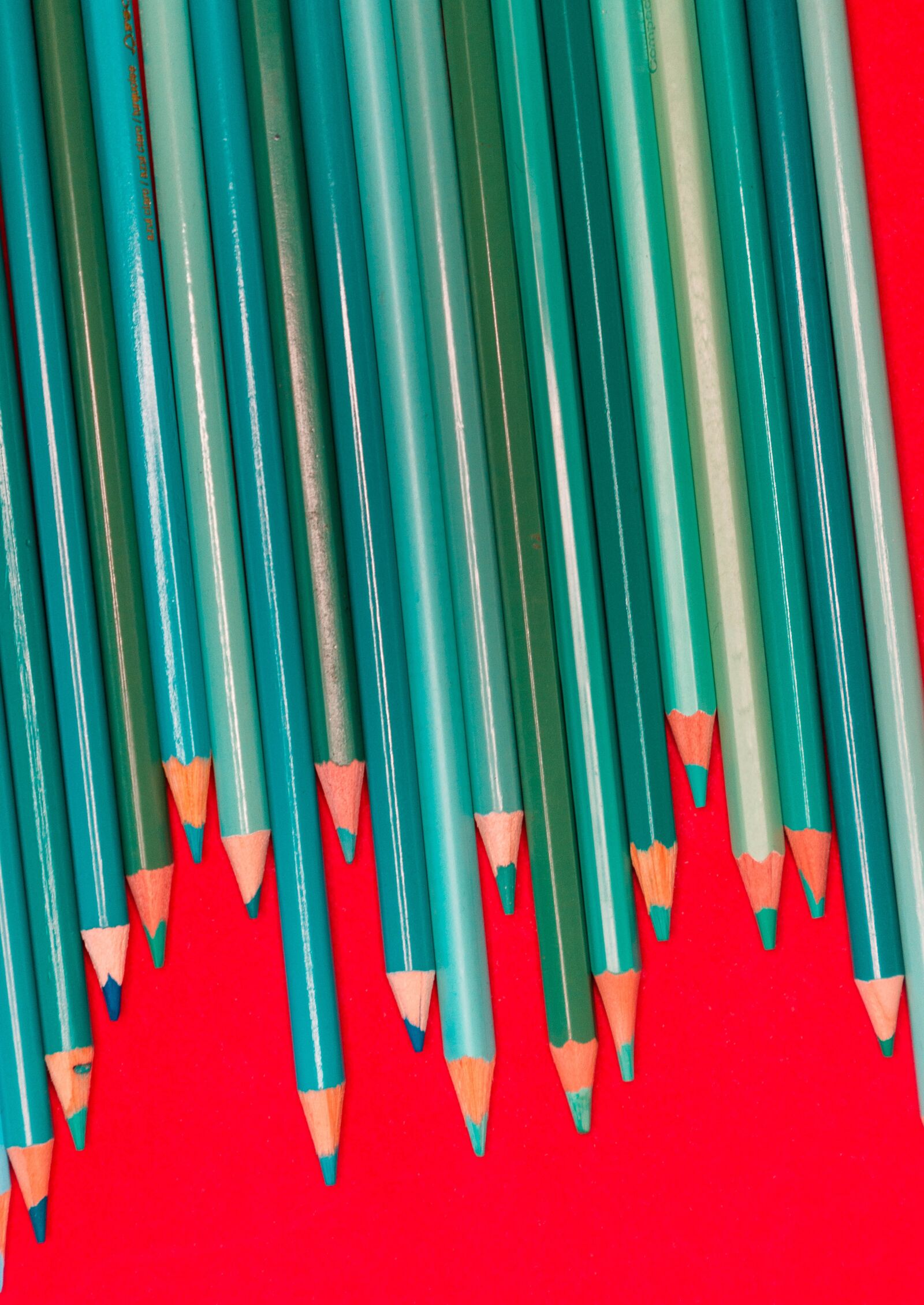 Nikon D7200 sample photo. Pencils, red, school photography