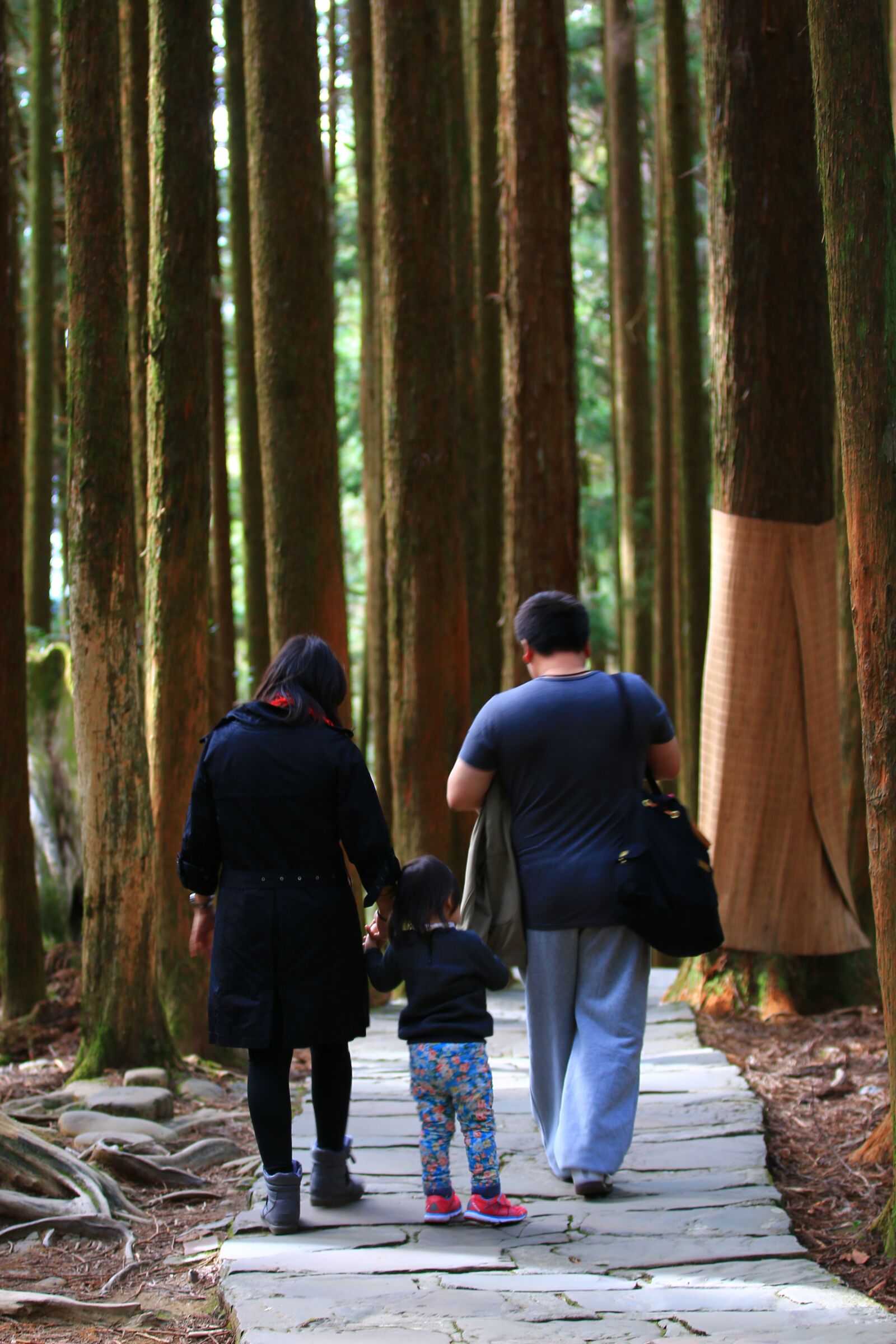 Canon EOS 70D sample photo. A person, forest, woodland photography