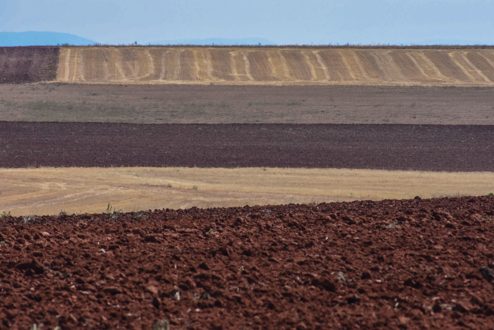 Nikon D7200 sample photo. Fields, castilla, lines photography