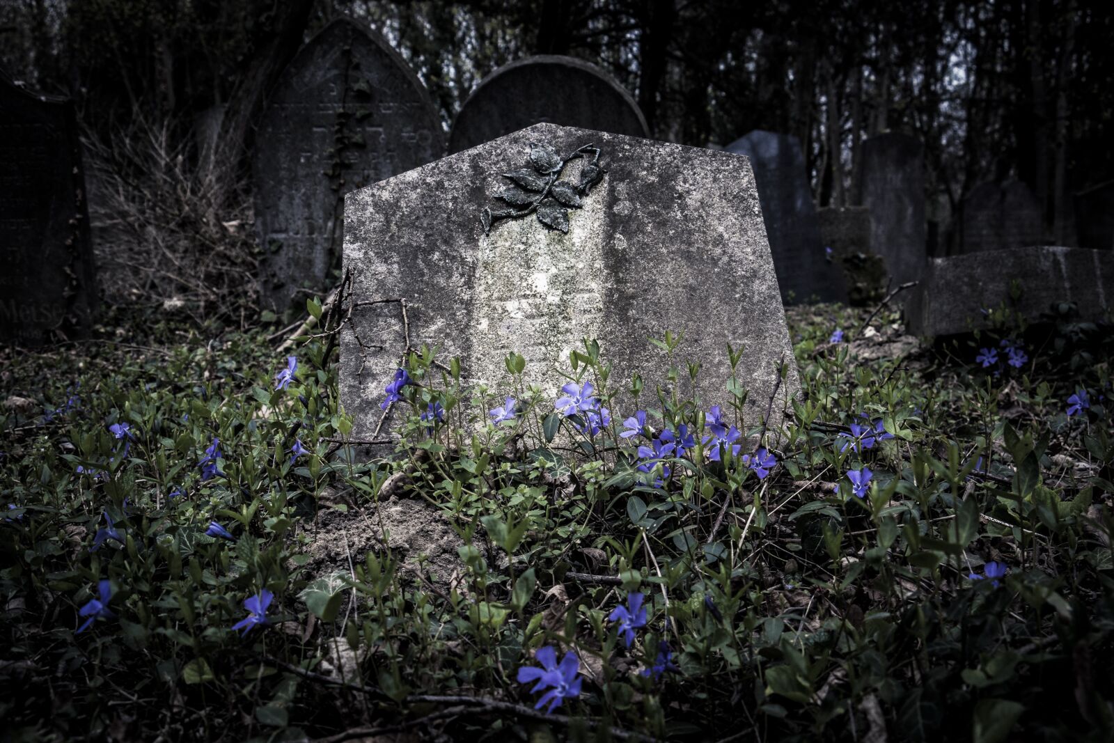 Canon EOS 70D sample photo. Cemetery, old, old cemetery photography