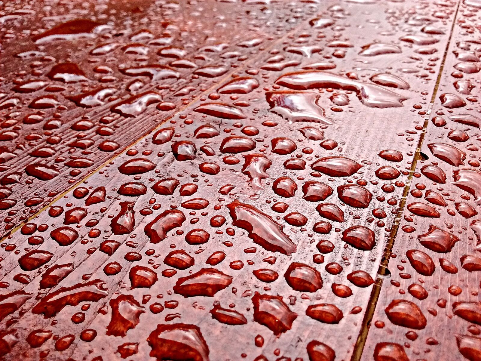 Motorola Moto E with 4G LTE (2nd Gen) sample photo. Drip, red, wet photography