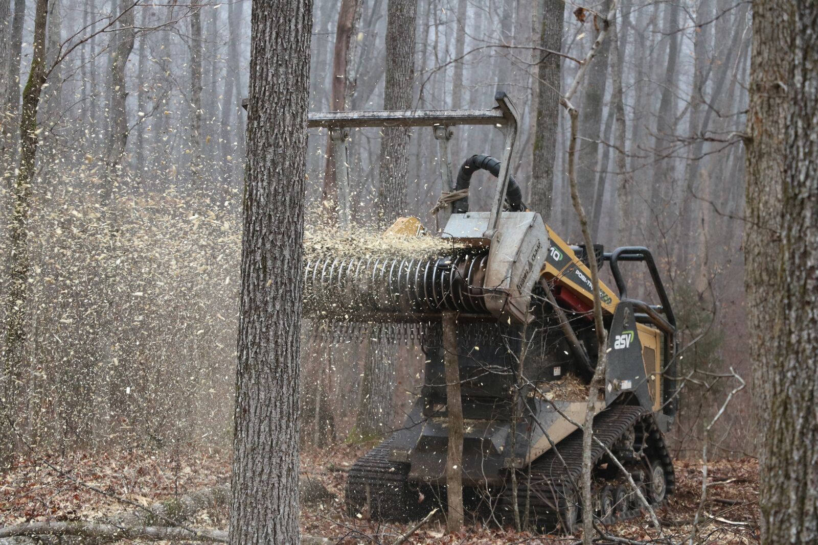 Canon EOS 760D (EOS Rebel T6s / EOS 8000D) sample photo. Daf, forestry industrial shredder photography
