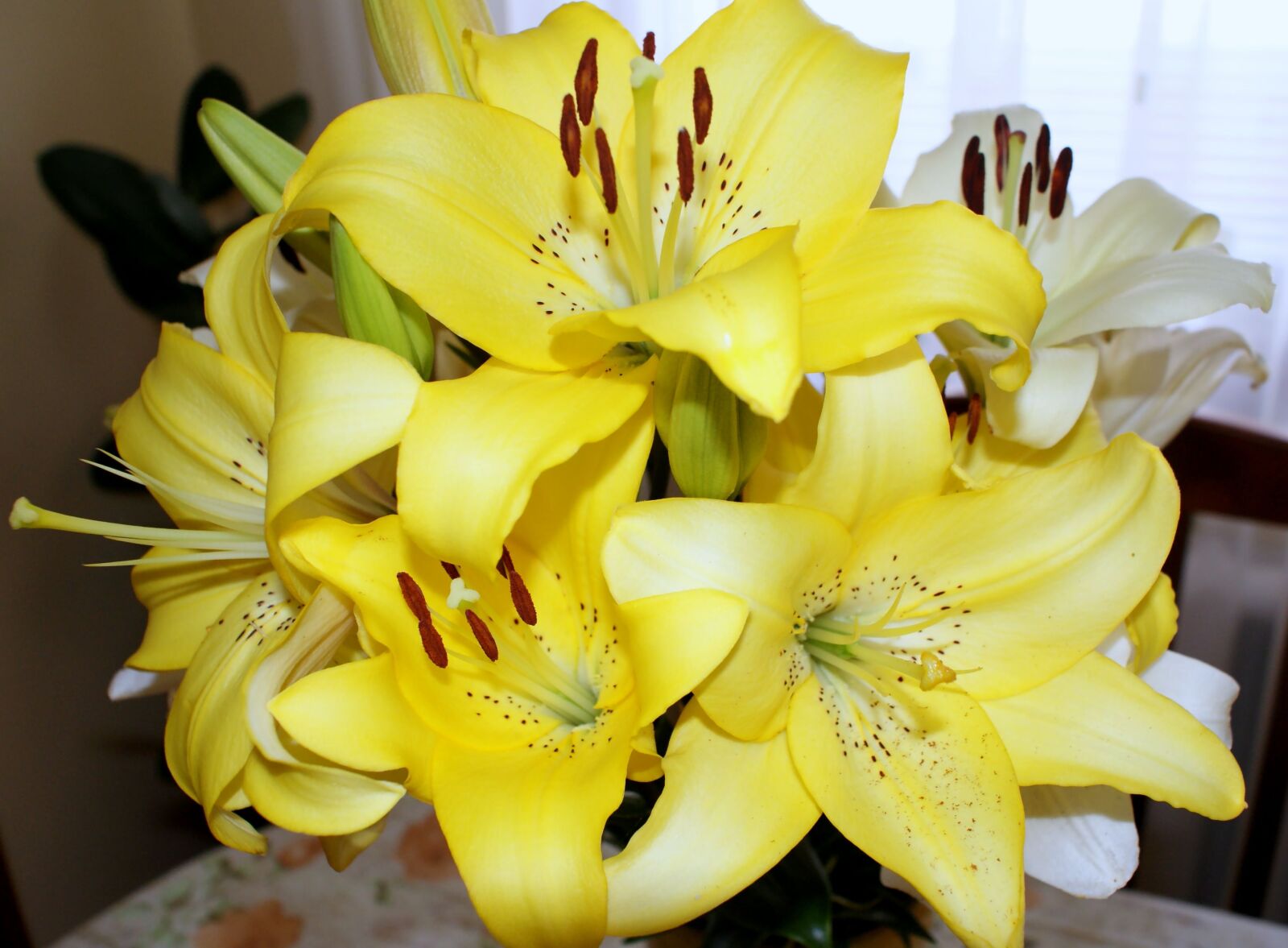 Sony Alpha DSLR-A200 sample photo. Flowers, lily, yellow photography