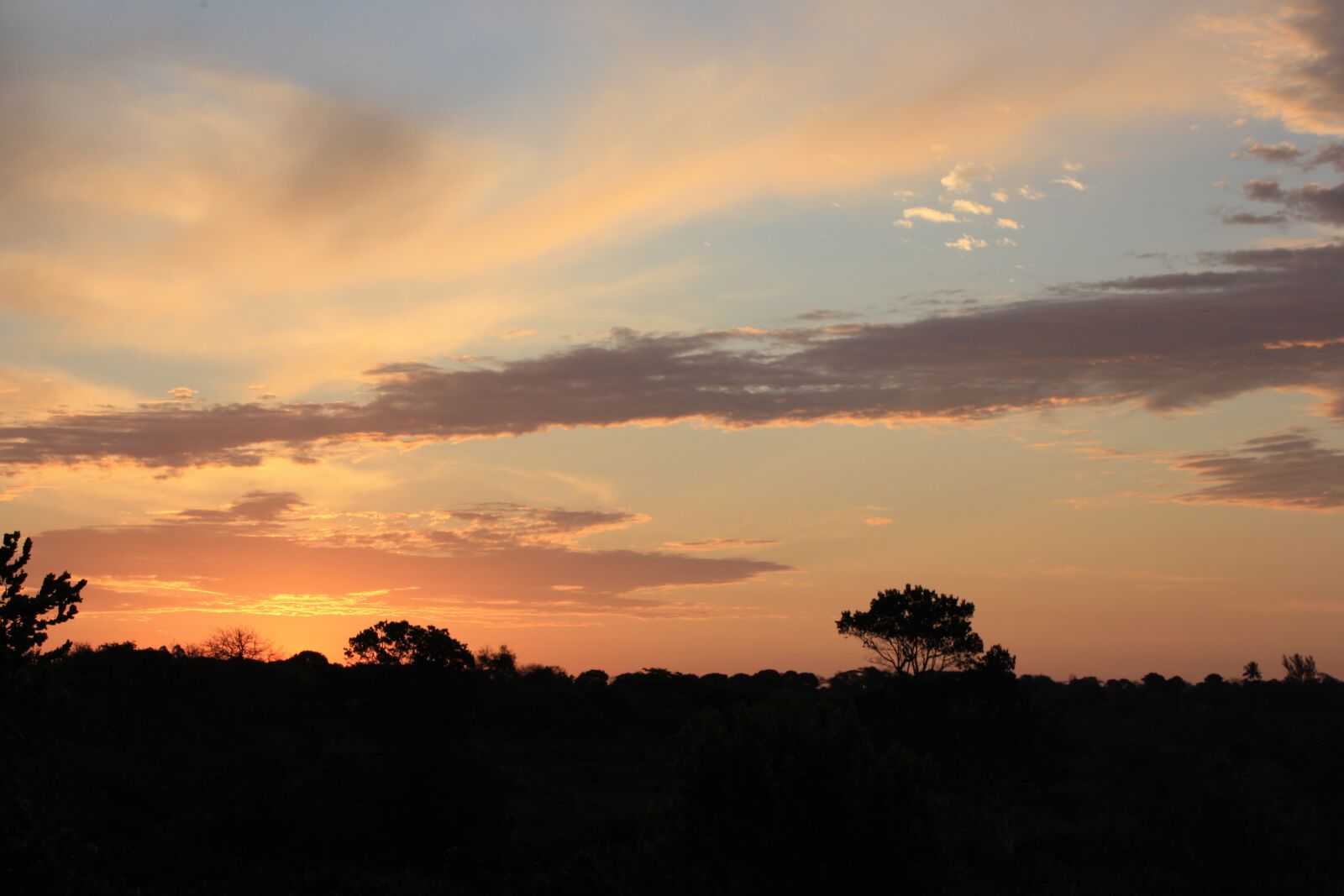 Canon EOS 1000D (EOS Digital Rebel XS / EOS Kiss F) sample photo. Africa, skyline, landscape photography