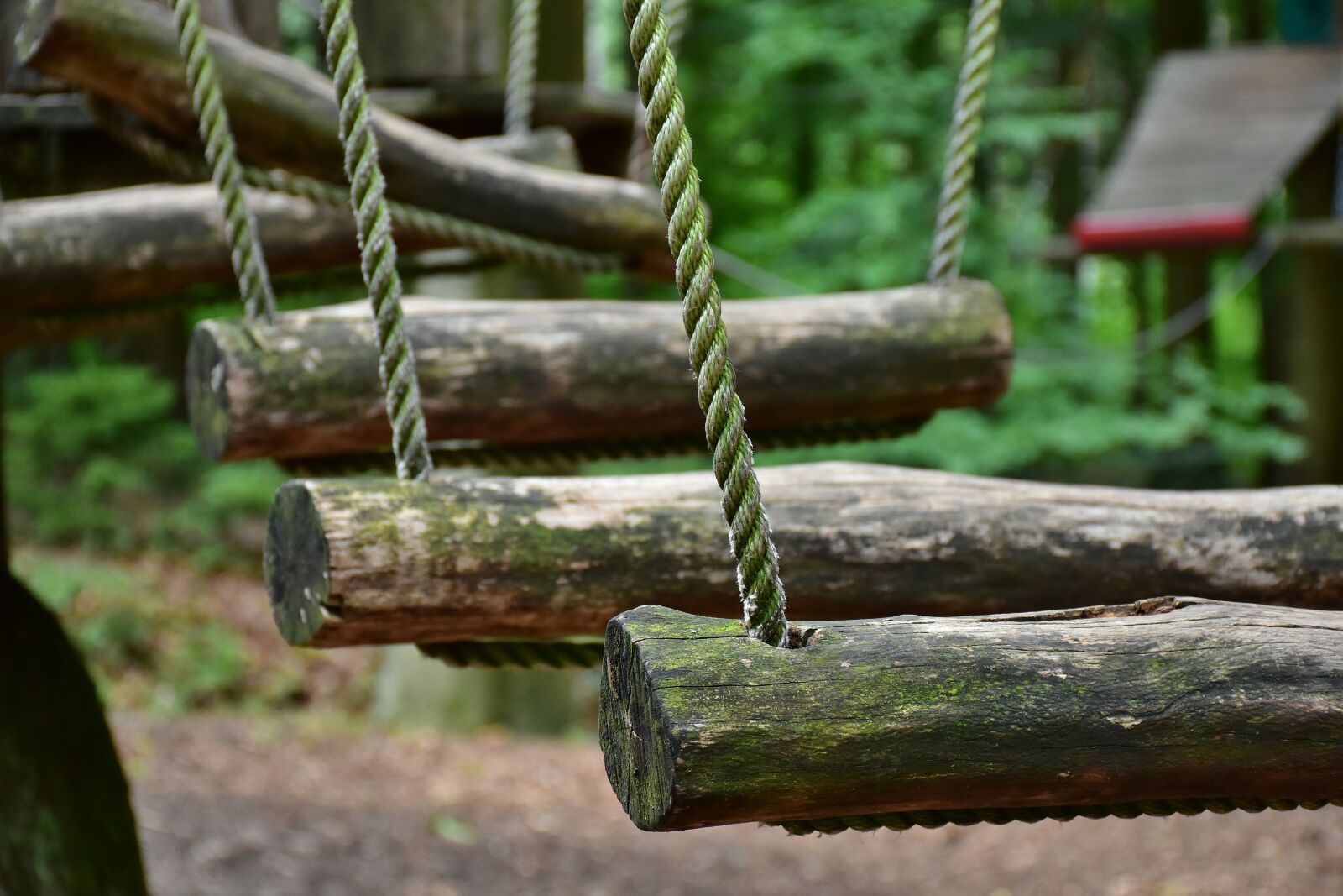 Nikon D7200 sample photo. High ropes course, climbing photography