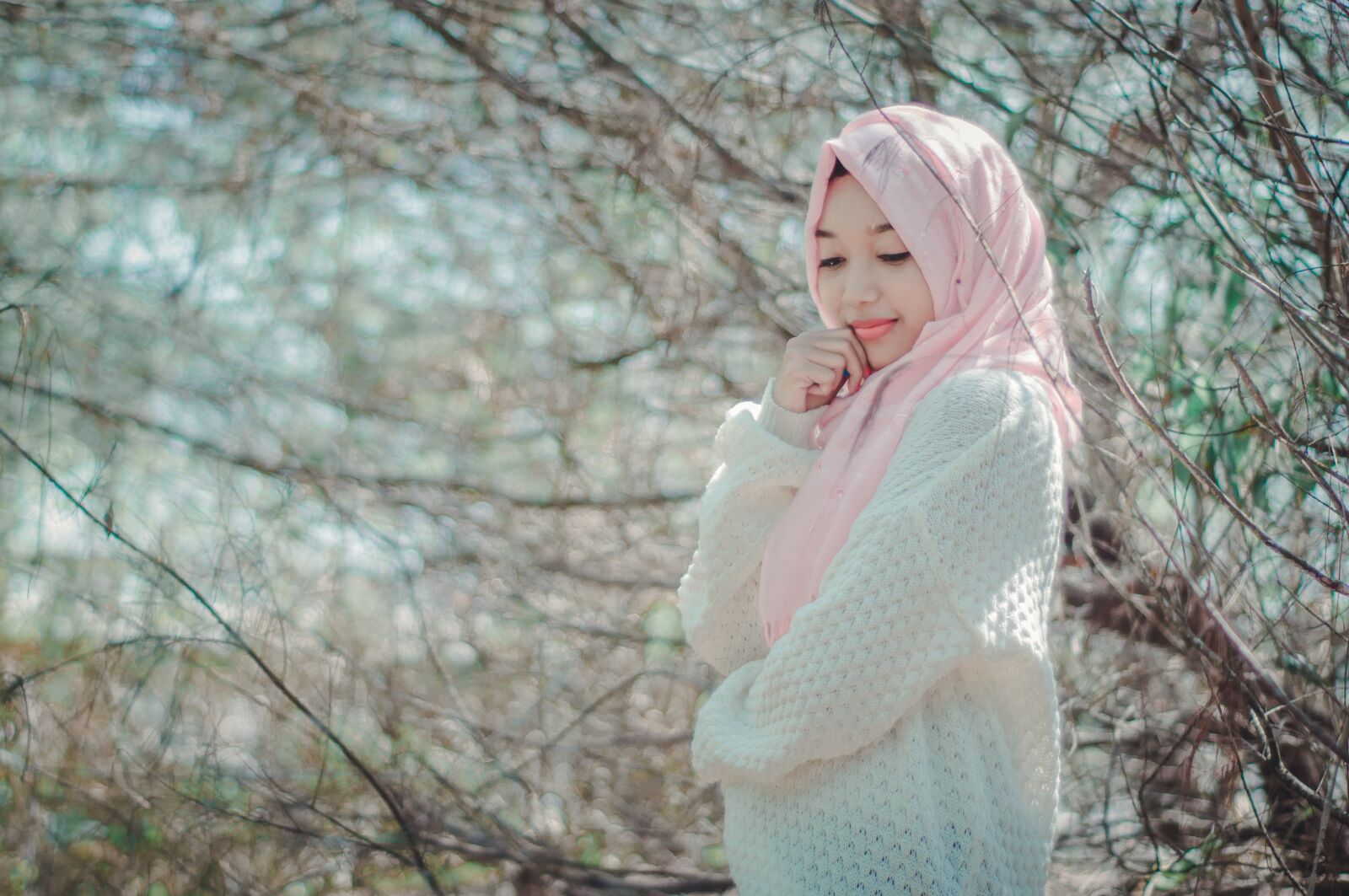 Nikon D90 sample photo. Nature, beautiful, tree photography