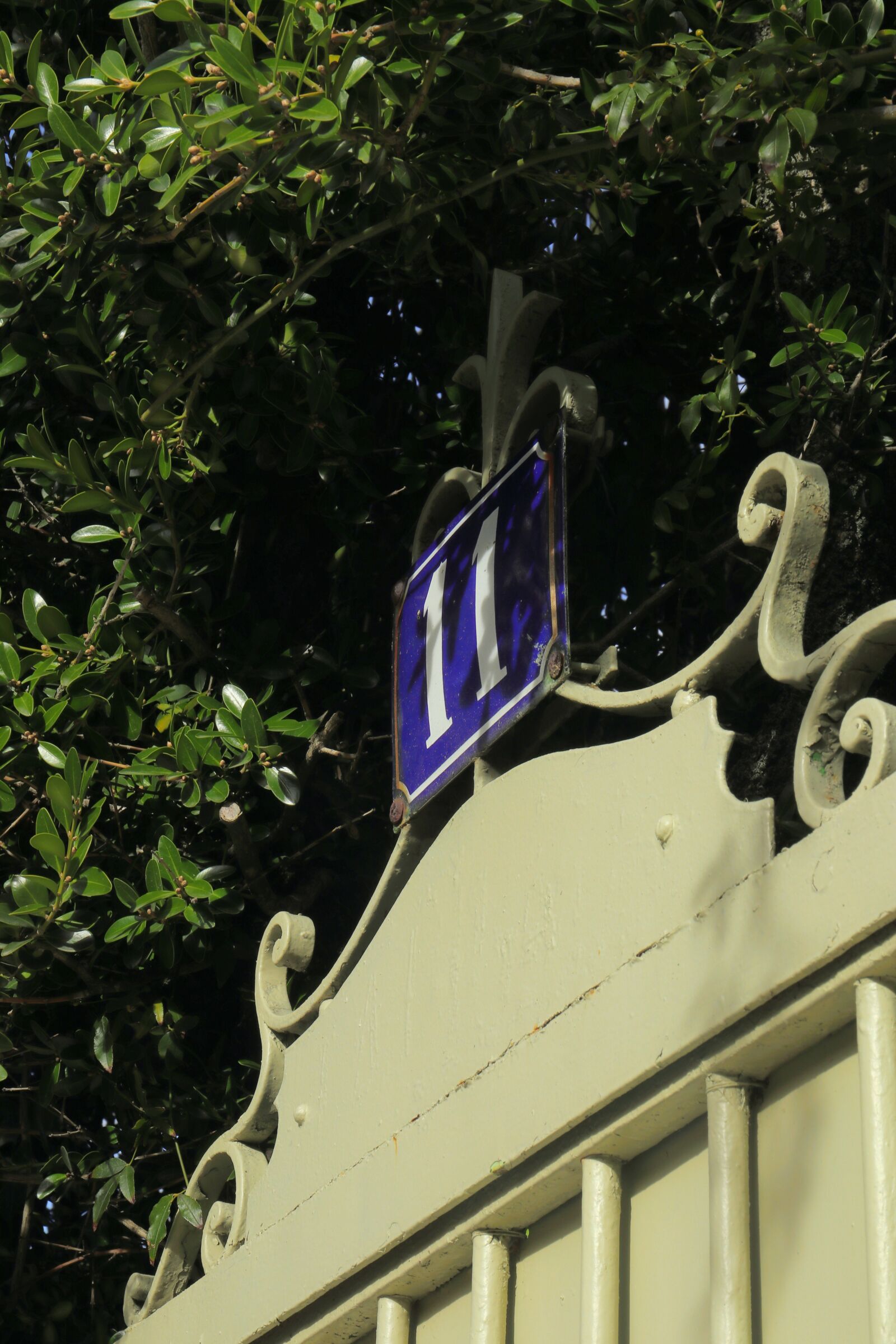 Canon EOS M5 sample photo
