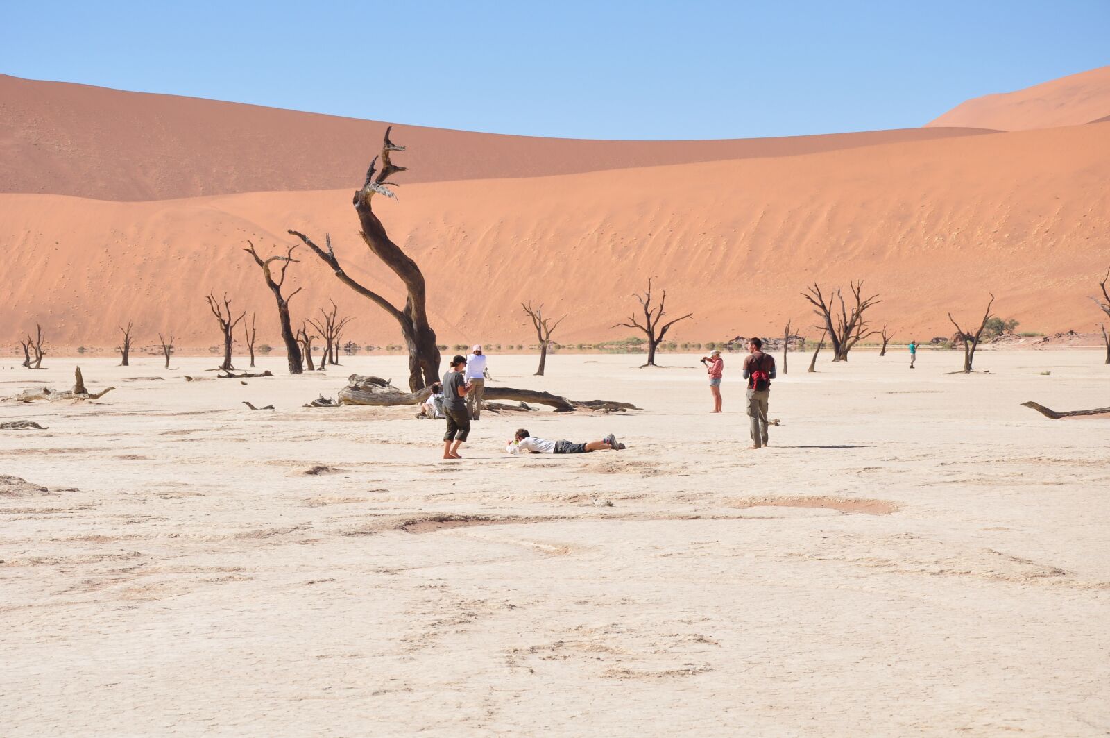 Nikon D90 sample photo. Africa, desert, namibia photography