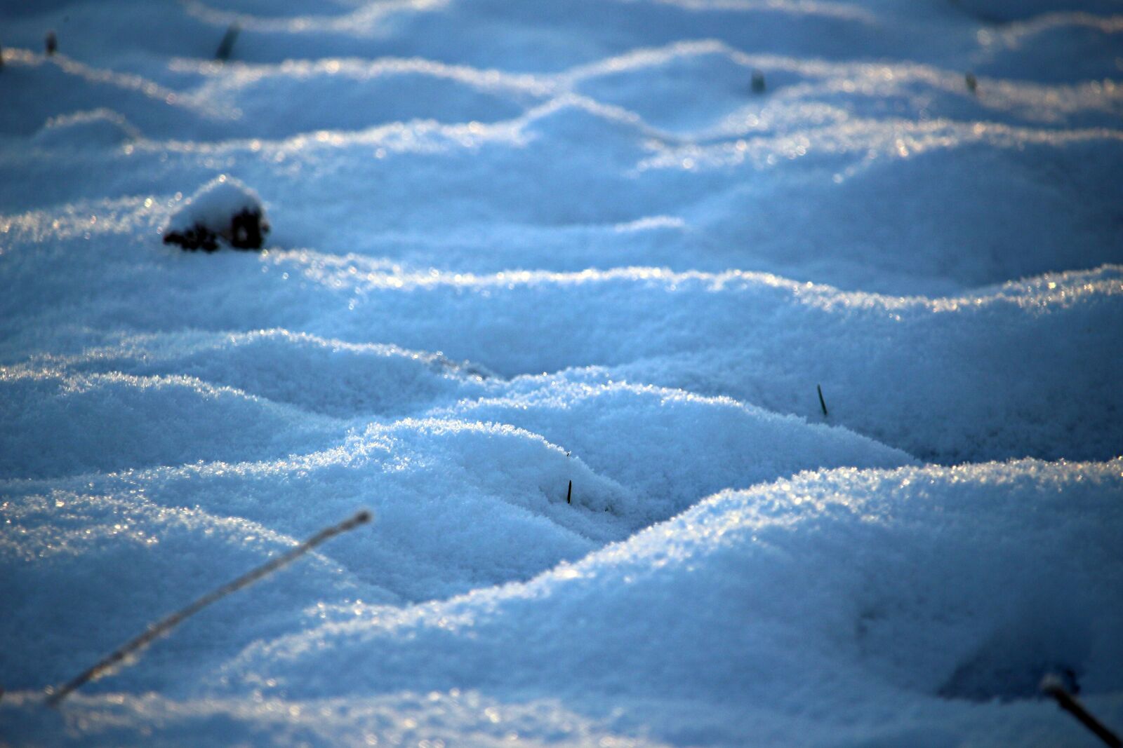 Canon EOS 100D (EOS Rebel SL1 / EOS Kiss X7) sample photo. Snow, winter, ice photography