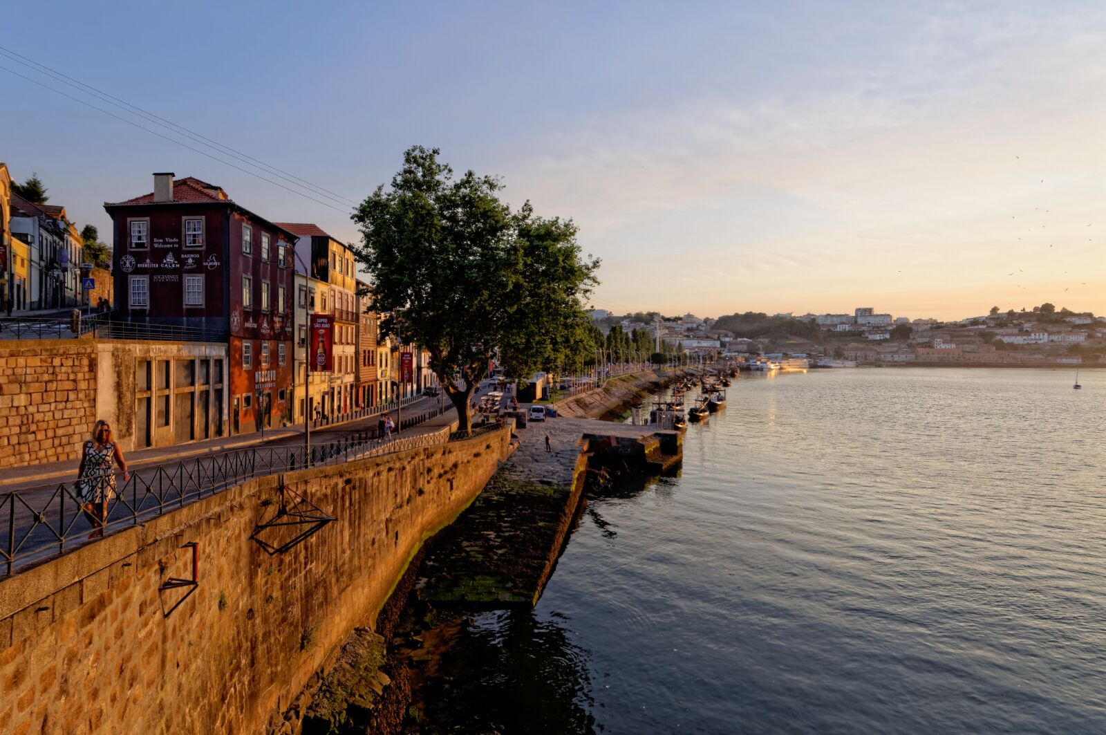 Nikon D90 sample photo. Porto, portugal, douro photography