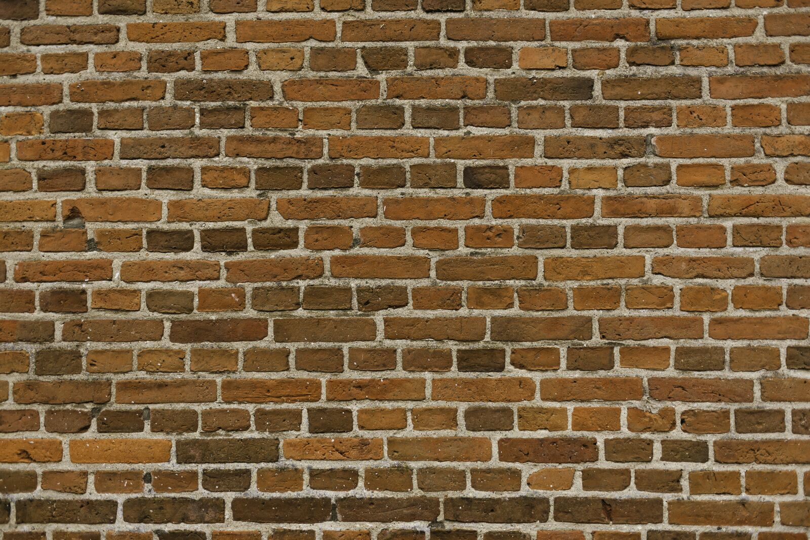 Nikon D610 sample photo. Wall, brick, architecture photography