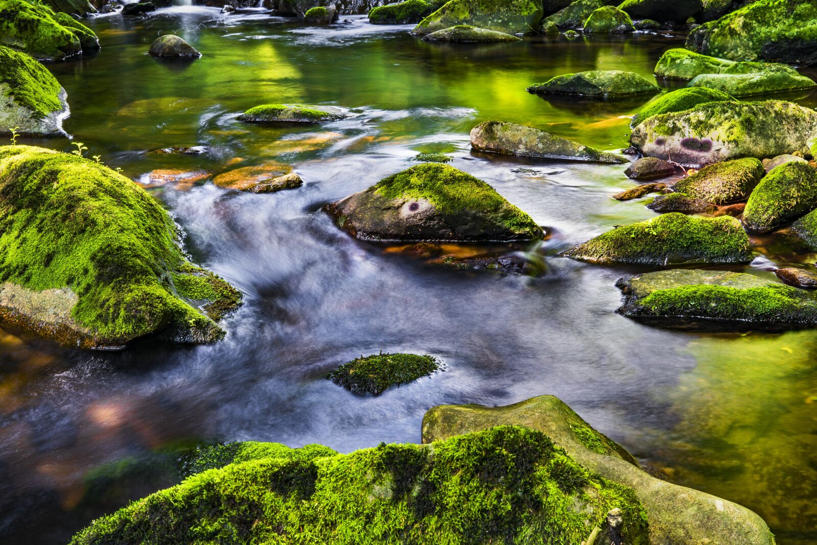 Sony a6300 + Sigma 30mm F2.8 EX DN sample photo. Water, river, nature photography