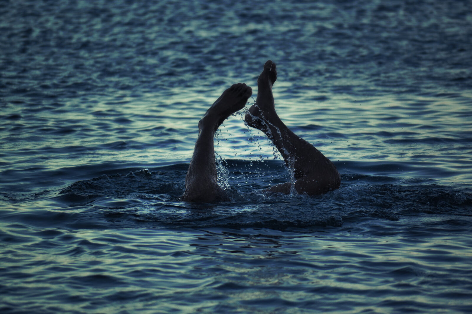 Nikon D3100 sample photo. Blue, curve, dawn, dive photography
