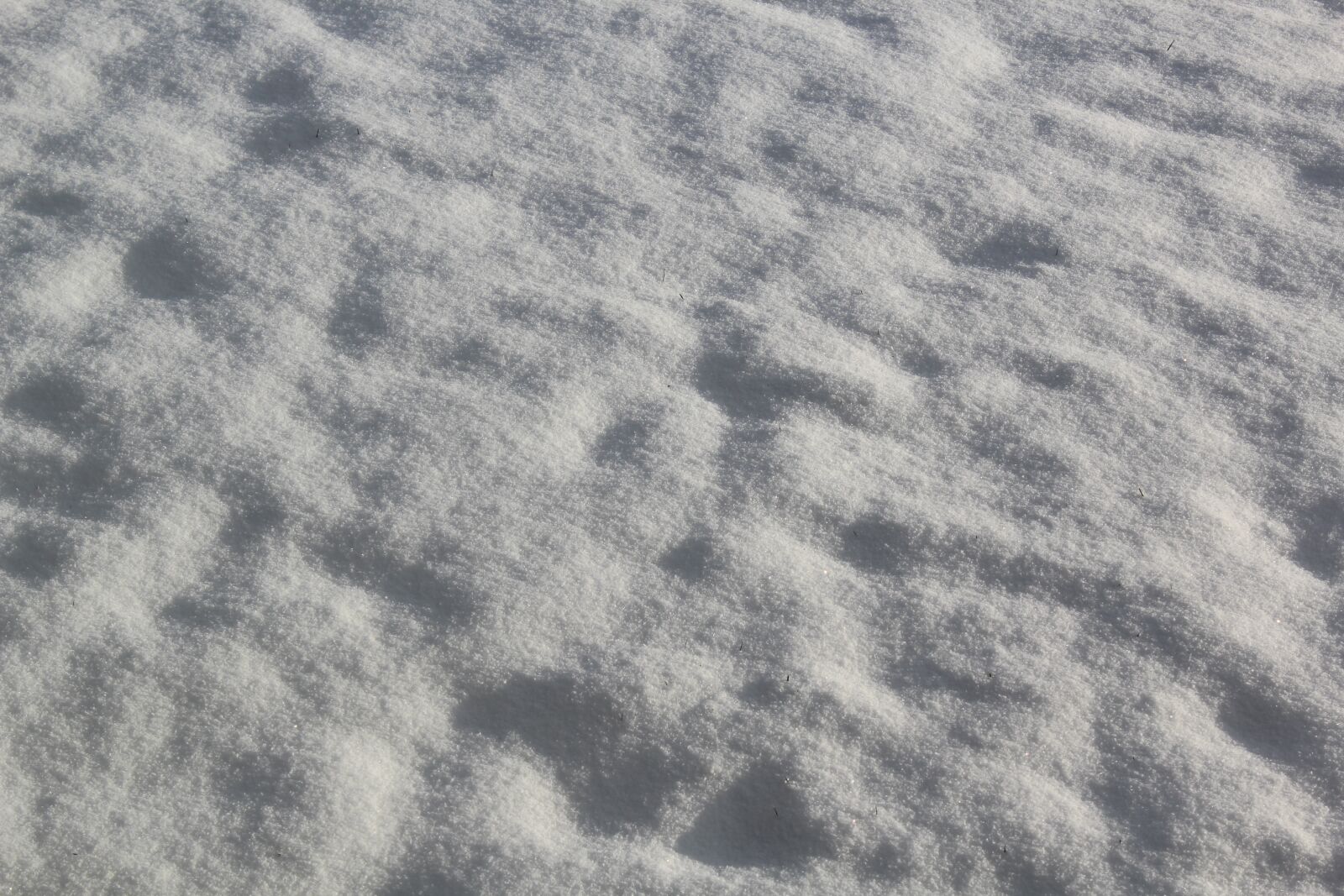 Canon EOS 1200D (EOS Rebel T5 / EOS Kiss X70 / EOS Hi) sample photo. Snow, cold, winter photography