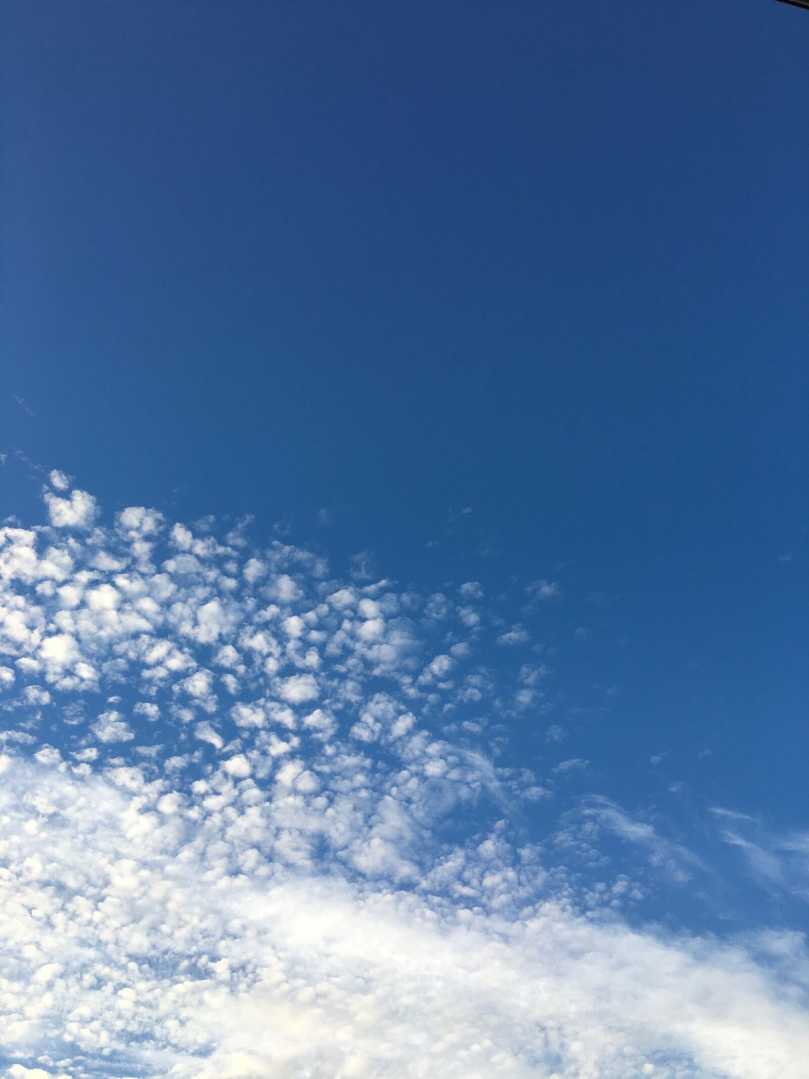 Apple iPhone 6s sample photo. White, blue, sky photography
