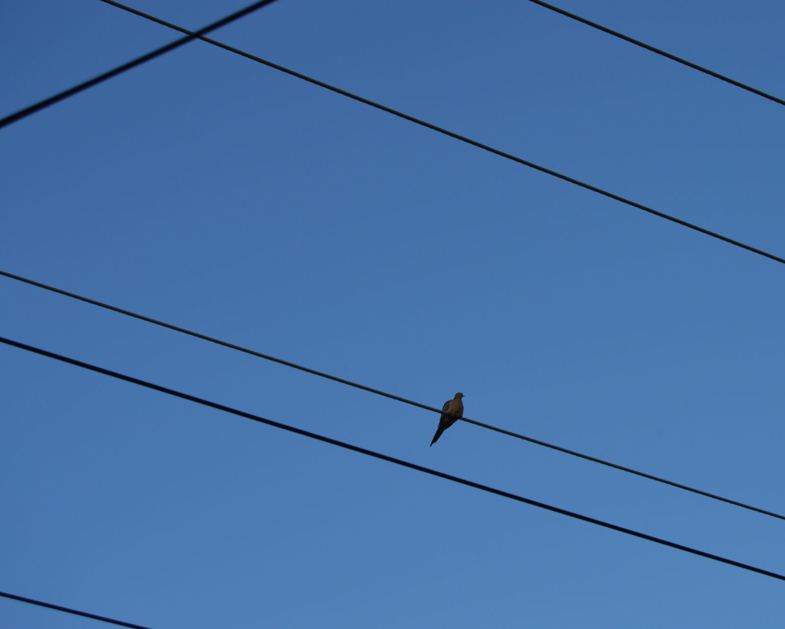 Nikon D3200 sample photo