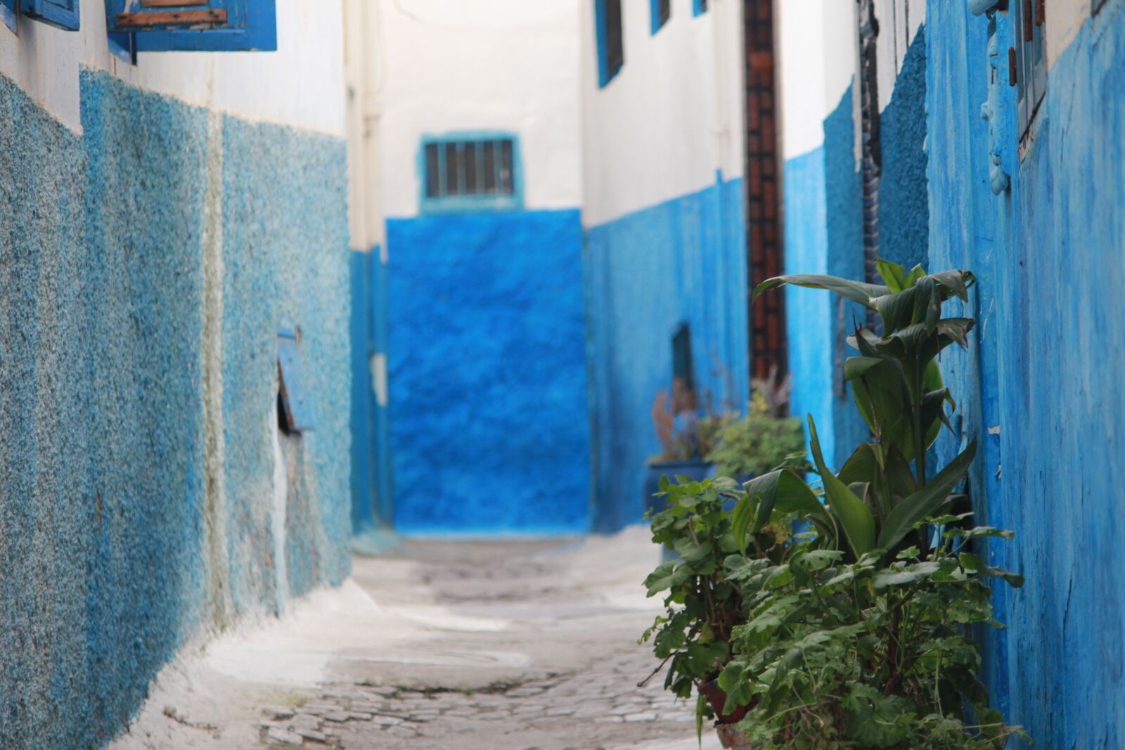 Canon EOS 600D (Rebel EOS T3i / EOS Kiss X5) sample photo. Rabat, morocco, fes photography