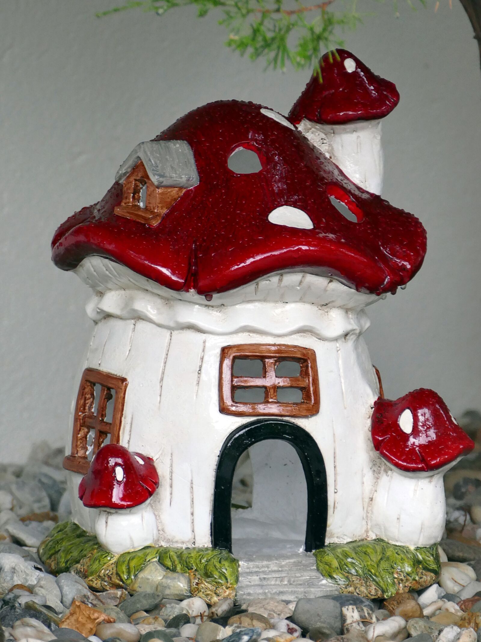 Panasonic Lumix DMC-FZ1000 sample photo. Mushroom, mushroom cottage, garden photography