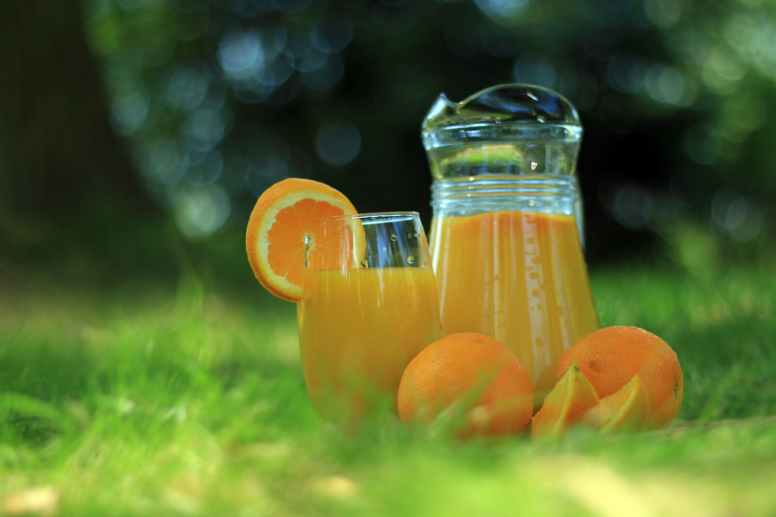 Canon EOS 70D + Canon EF 50mm F1.8 II sample photo. Fresh, grass, health, healthy photography