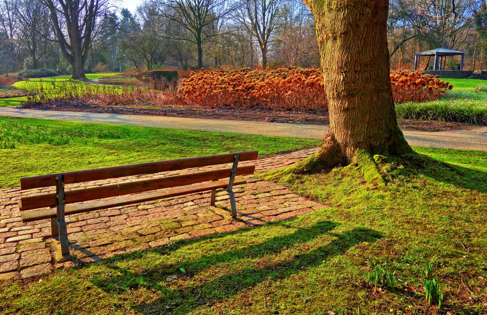 Sony Cyber-shot DSC-RX100 sample photo. Bench, tree, grass photography