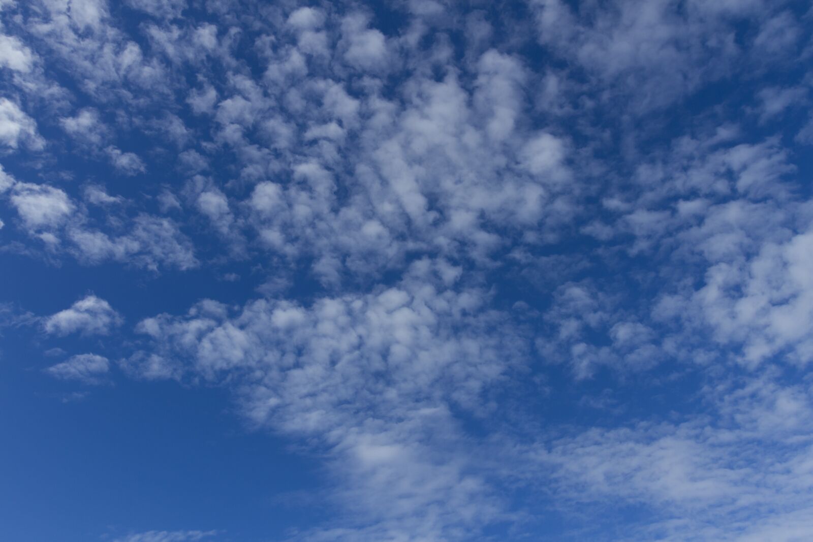 Canon EOS 7D + Canon EF 17-40mm F4L USM sample photo. Clouds, blue sky, sunny photography