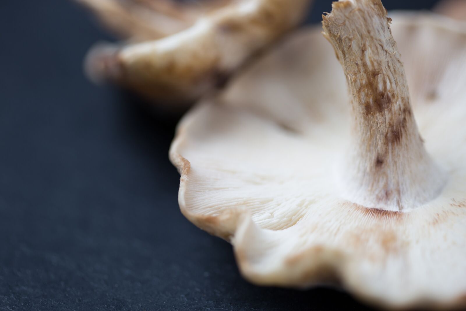 Canon EOS 6D + Canon EF 100mm F2.8 Macro USM sample photo. Mushroom, mushrooms, raw photography