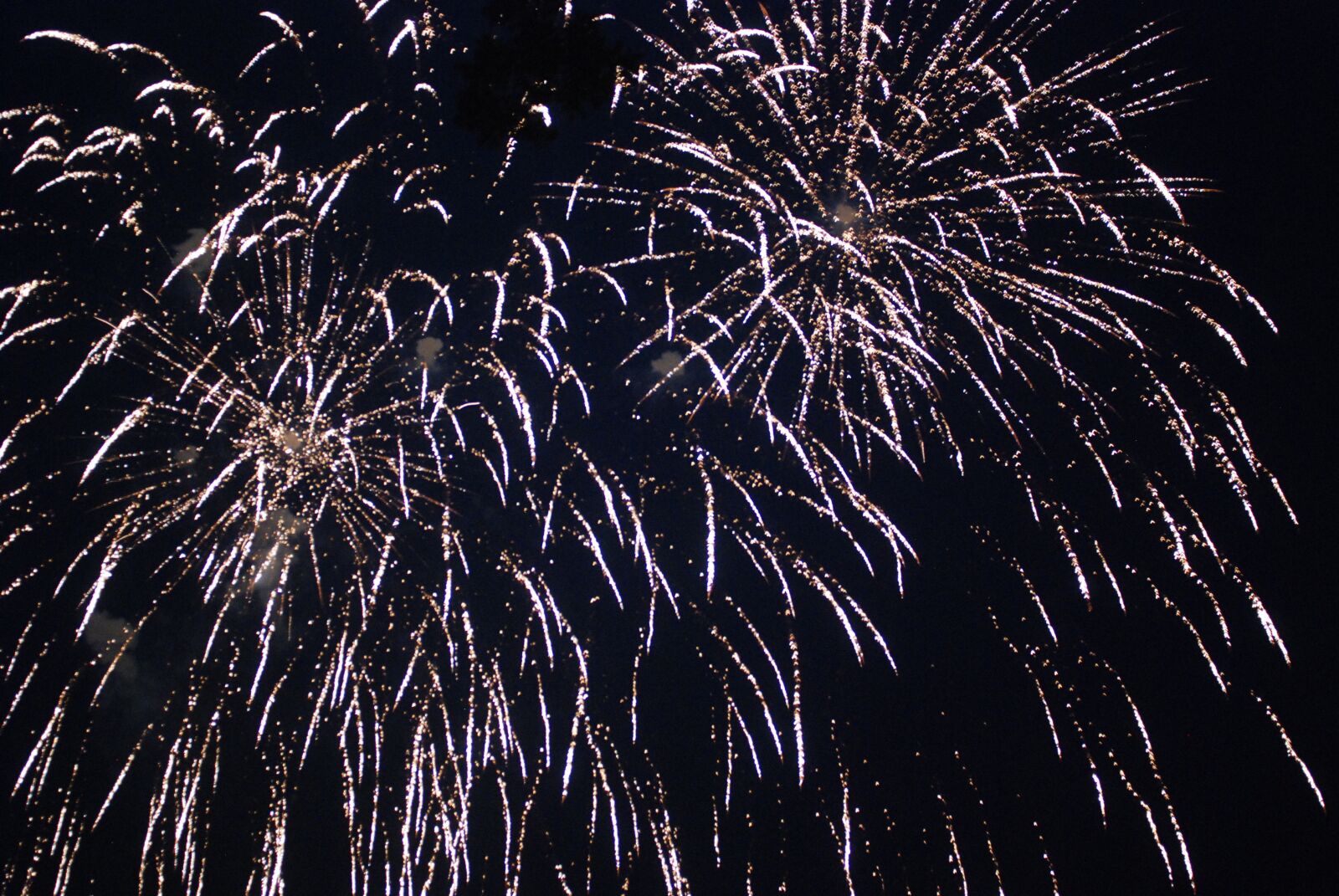 Nikon D80 sample photo. Fireworks, spread, streaming photography