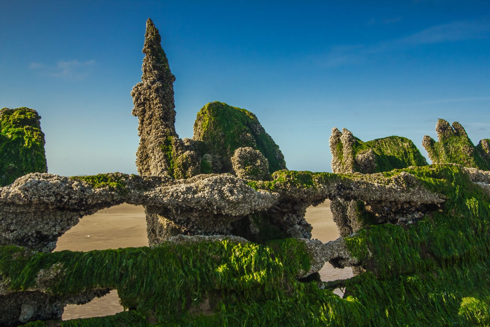 Canon EF-S 10-22mm F3.5-4.5 USM sample photo. Wreck, wood, beach photography