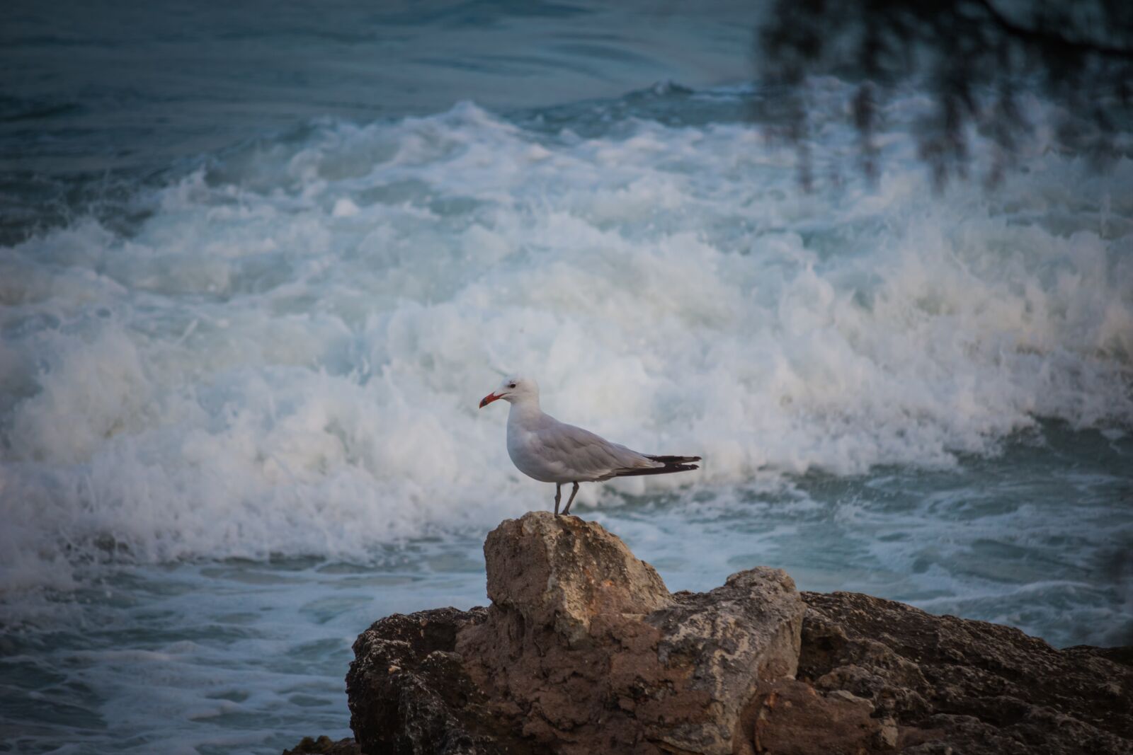 Canon EOS 100D (EOS Rebel SL1 / EOS Kiss X7) sample photo. Stones, sea, coast photography