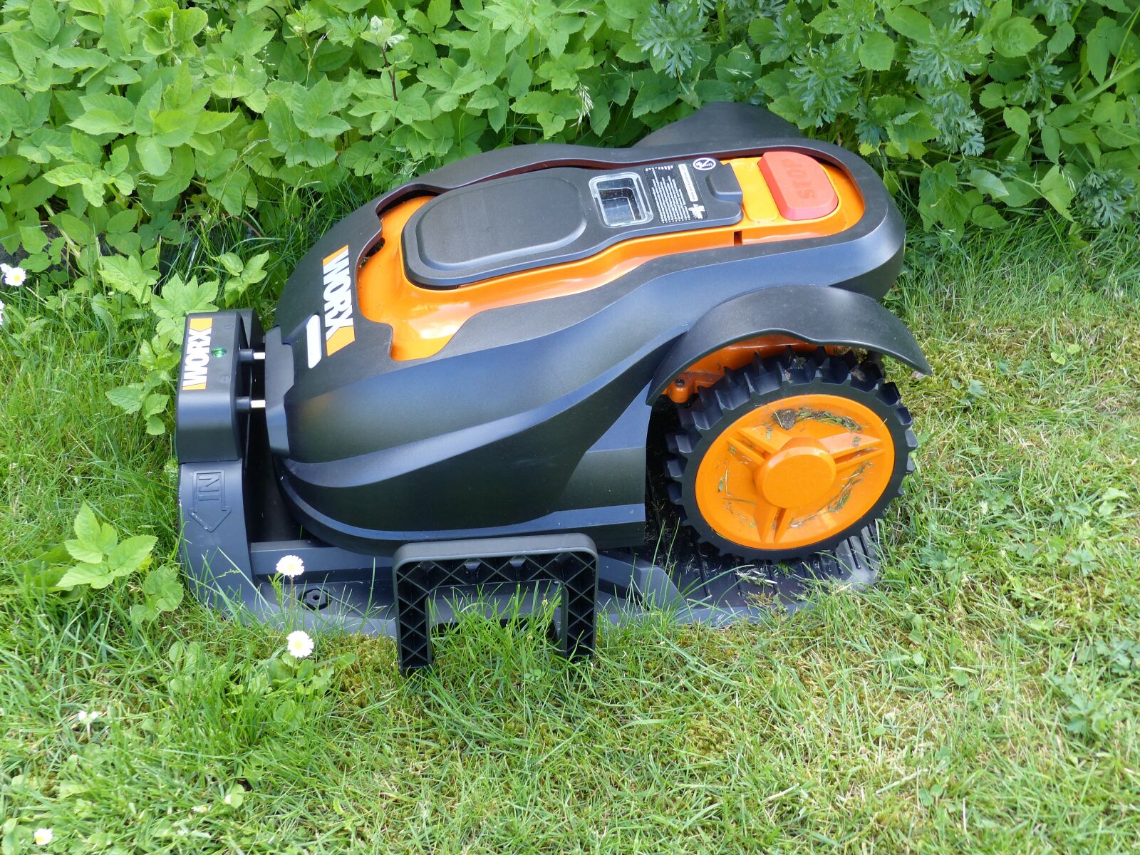Panasonic Lumix DMC-FZ200 sample photo. Lawn mowers, robot, lawn photography