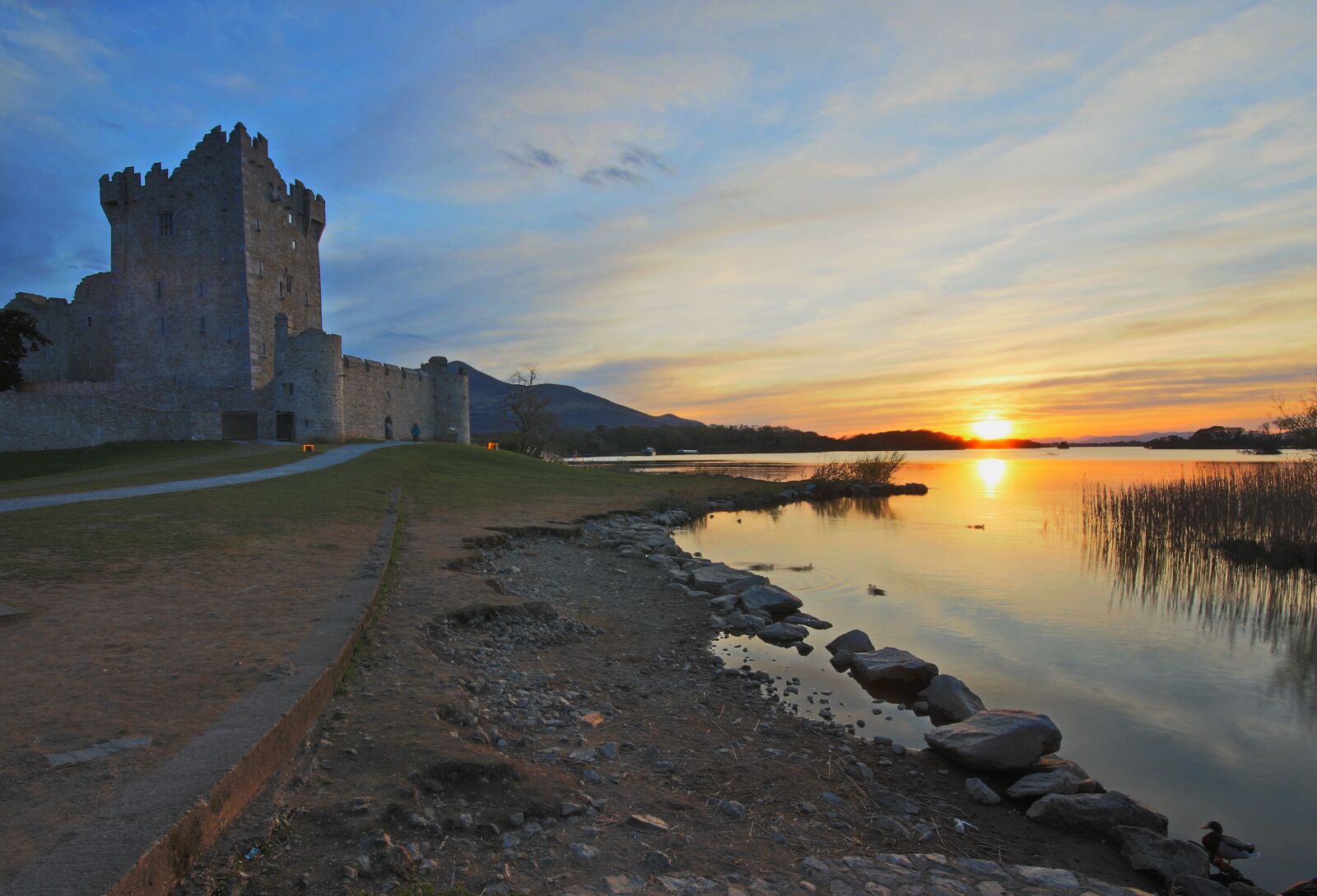 Canon EOS 7D Mark II sample photo. Killarney, ross, castle photography