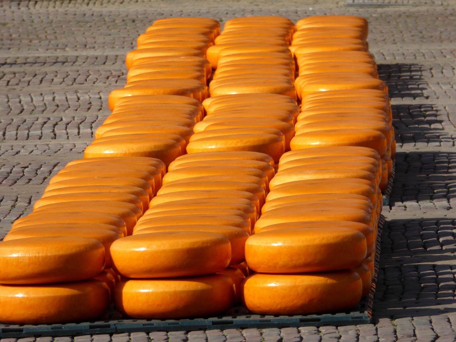 Panasonic DMC-TZ61 sample photo. Alkmaar, cheese market, cheese photography