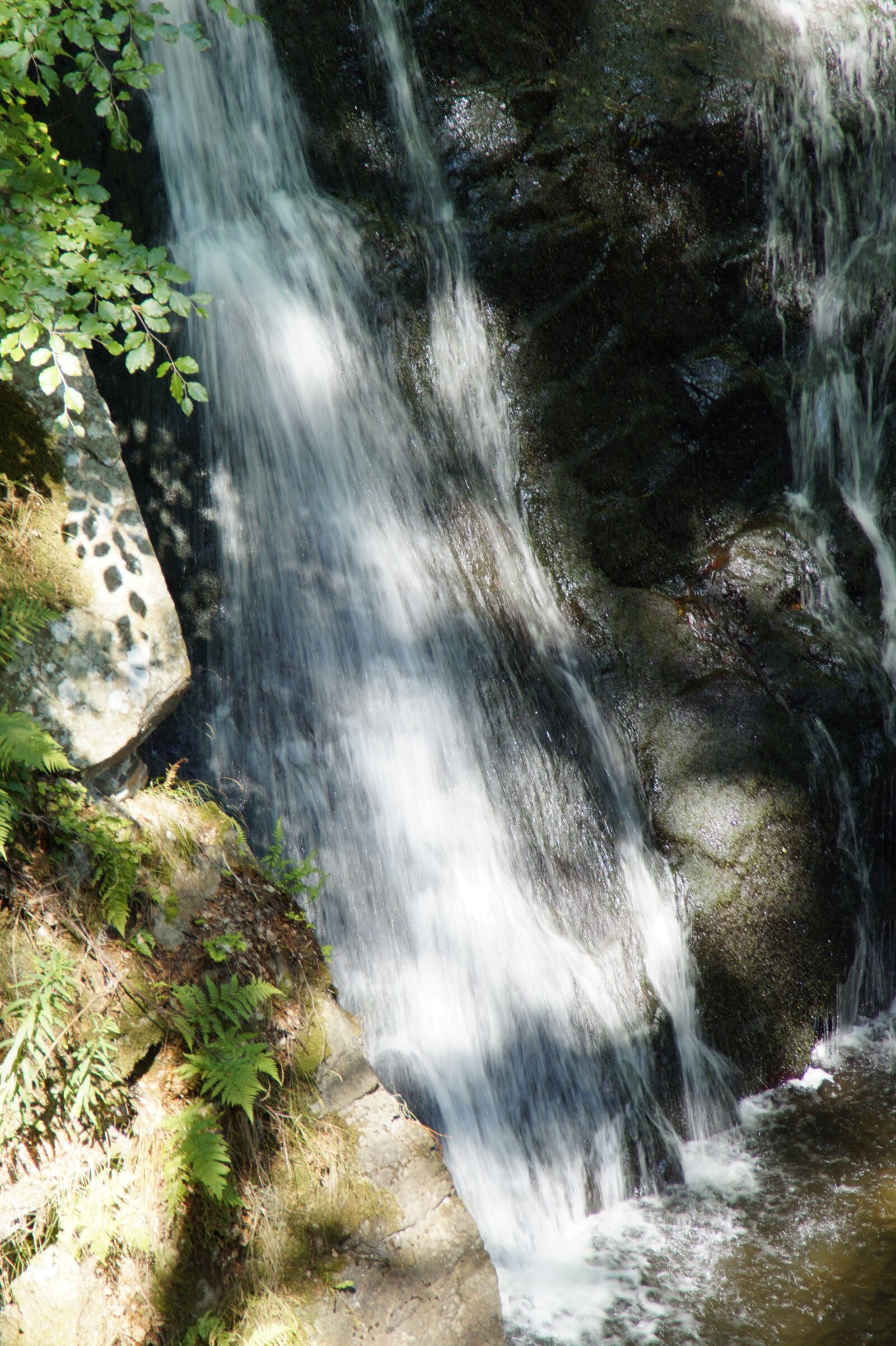 Sony SLT-A58 sample photo. Waterfall, forest, sweden photography