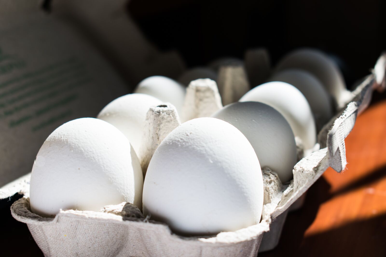 Nikon D5300 sample photo. Egg, plate, sun photography