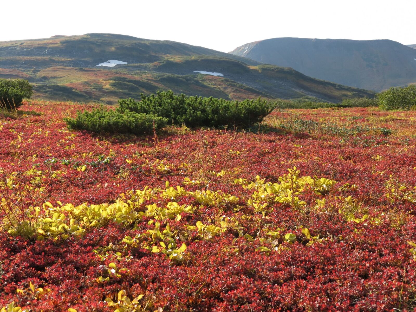Canon PowerShot SX40 HS sample photo. Mountain tundra, mountains, ranges photography