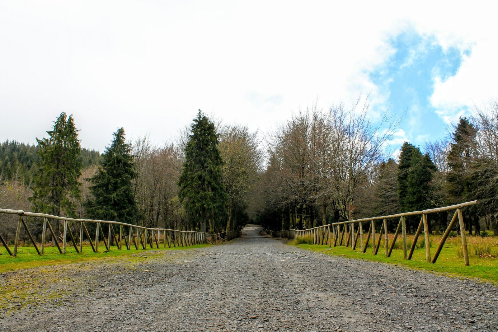 Canon EOS 1100D (EOS Rebel T3 / EOS Kiss X50) sample photo. Nature, trees, woods photography