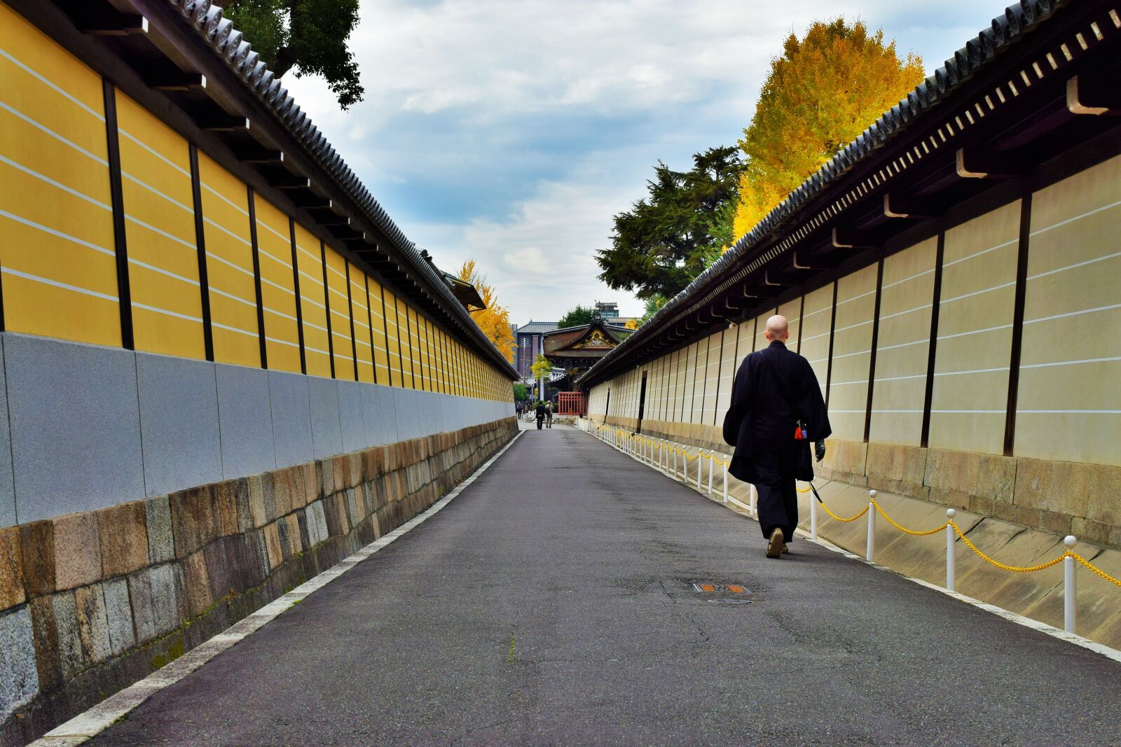Nikon D3300 sample photo. Kyoto, japan, street view photography