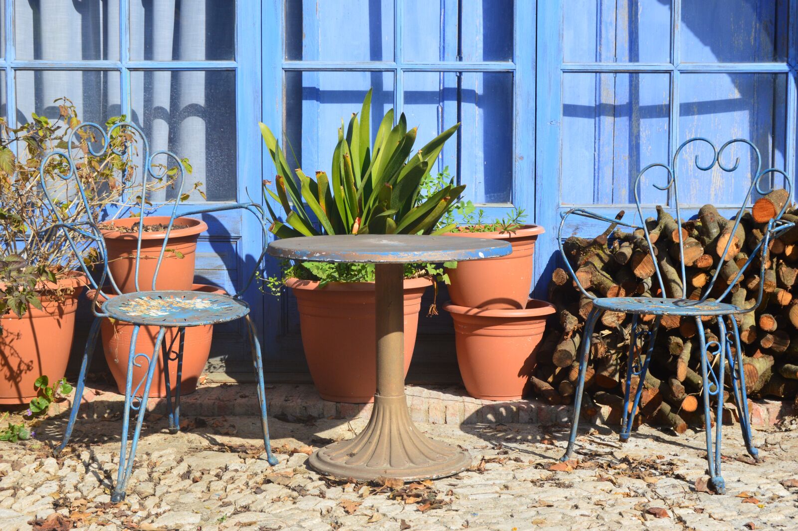 Nikon D3200 sample photo. Rustic, colorful, still life photography