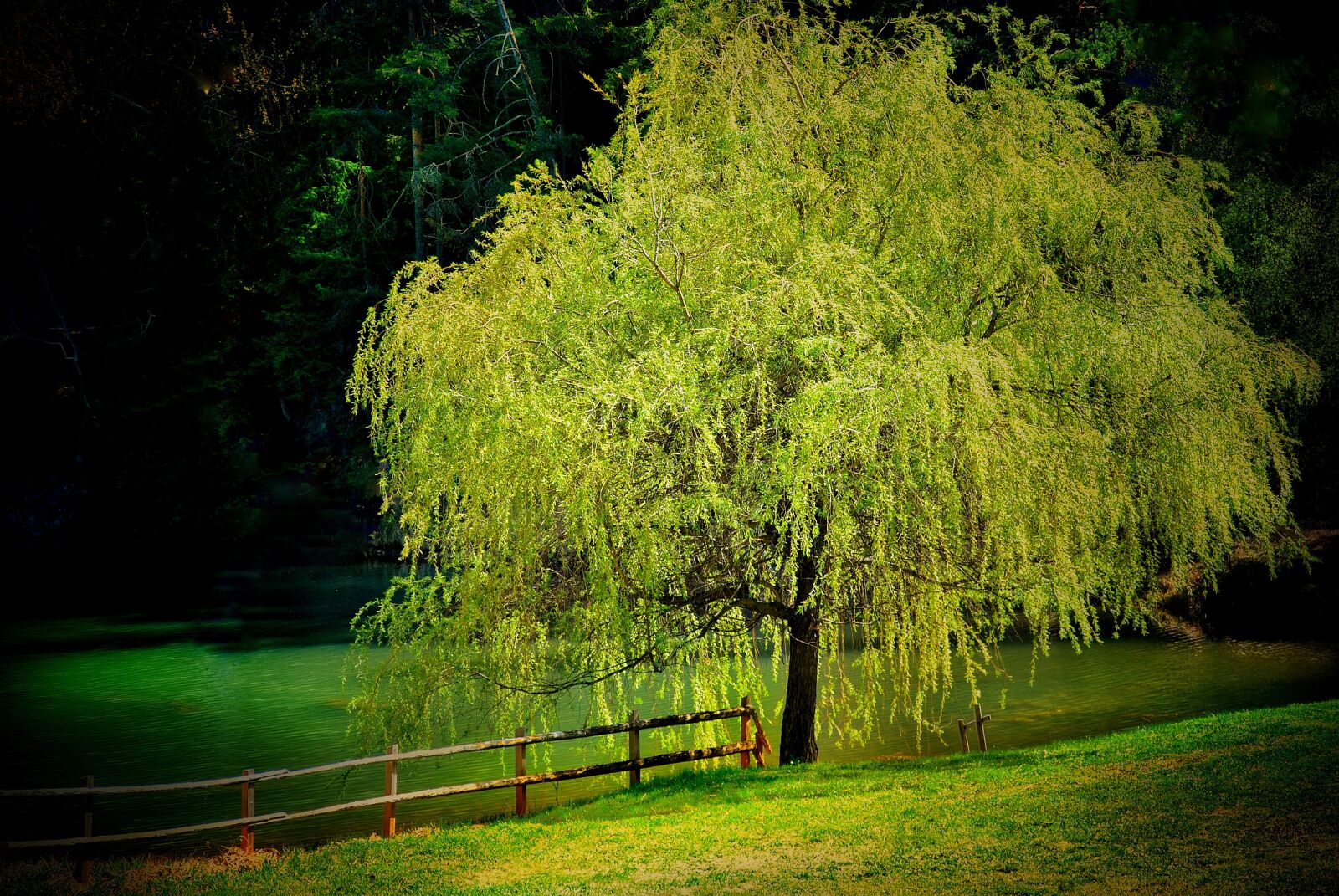 Nikon D3000 sample photo. Nature, rest, landscape photography